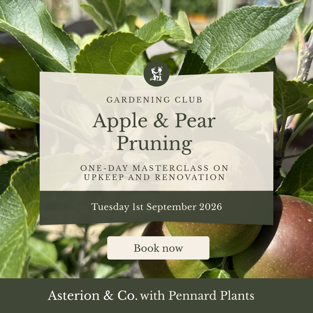 Apple & Pear Pruning: One-Day Masterclass on Upkeep and Renovation. | Tuesday 1st September 2026
