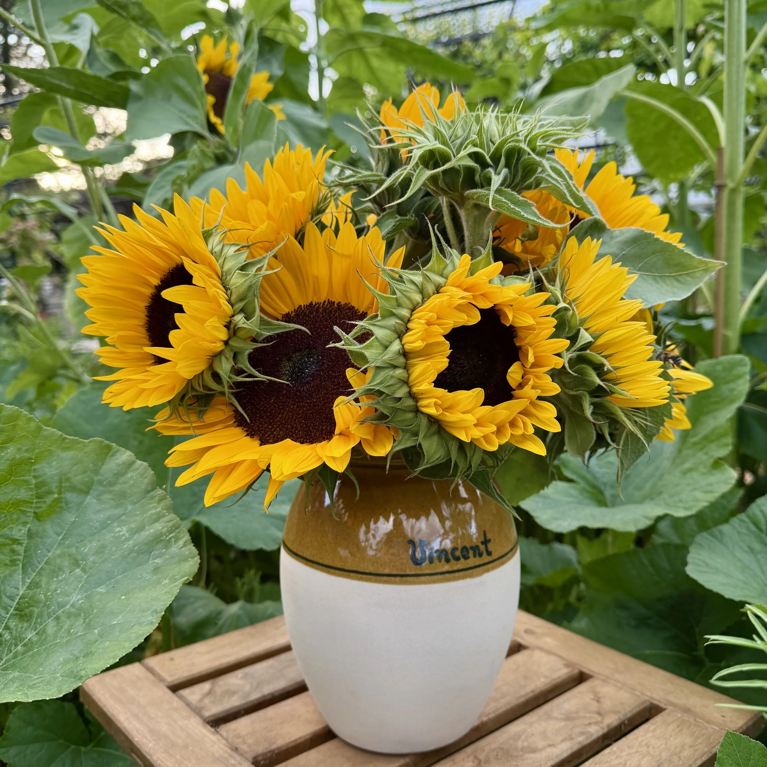 Sunflowers in Vincent Van Gogh vase Asterion and Co.jpeg