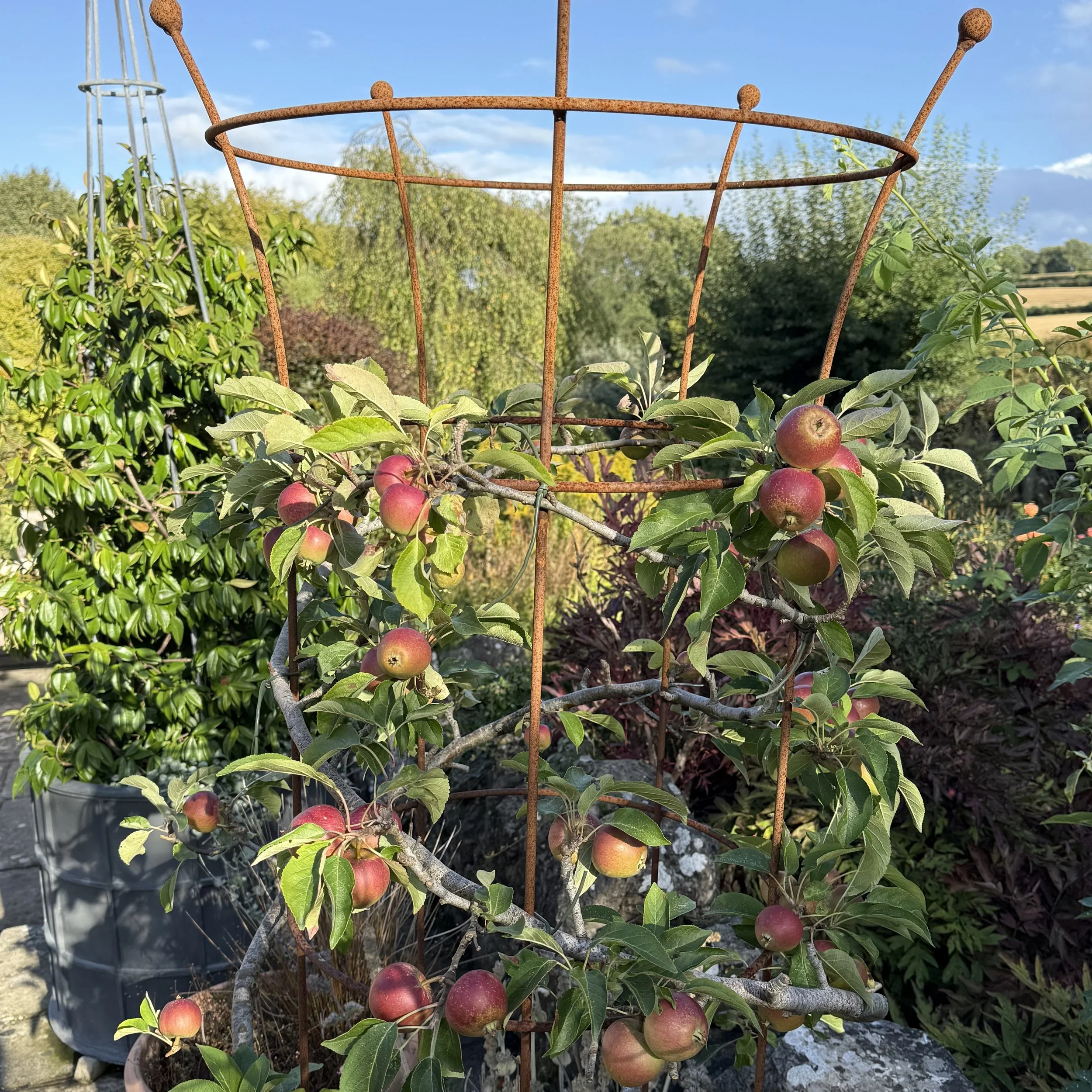 Pruning with Precision: One-Day Masterclass on Upkeep and Renovation. | Tuesday 1st September 2026