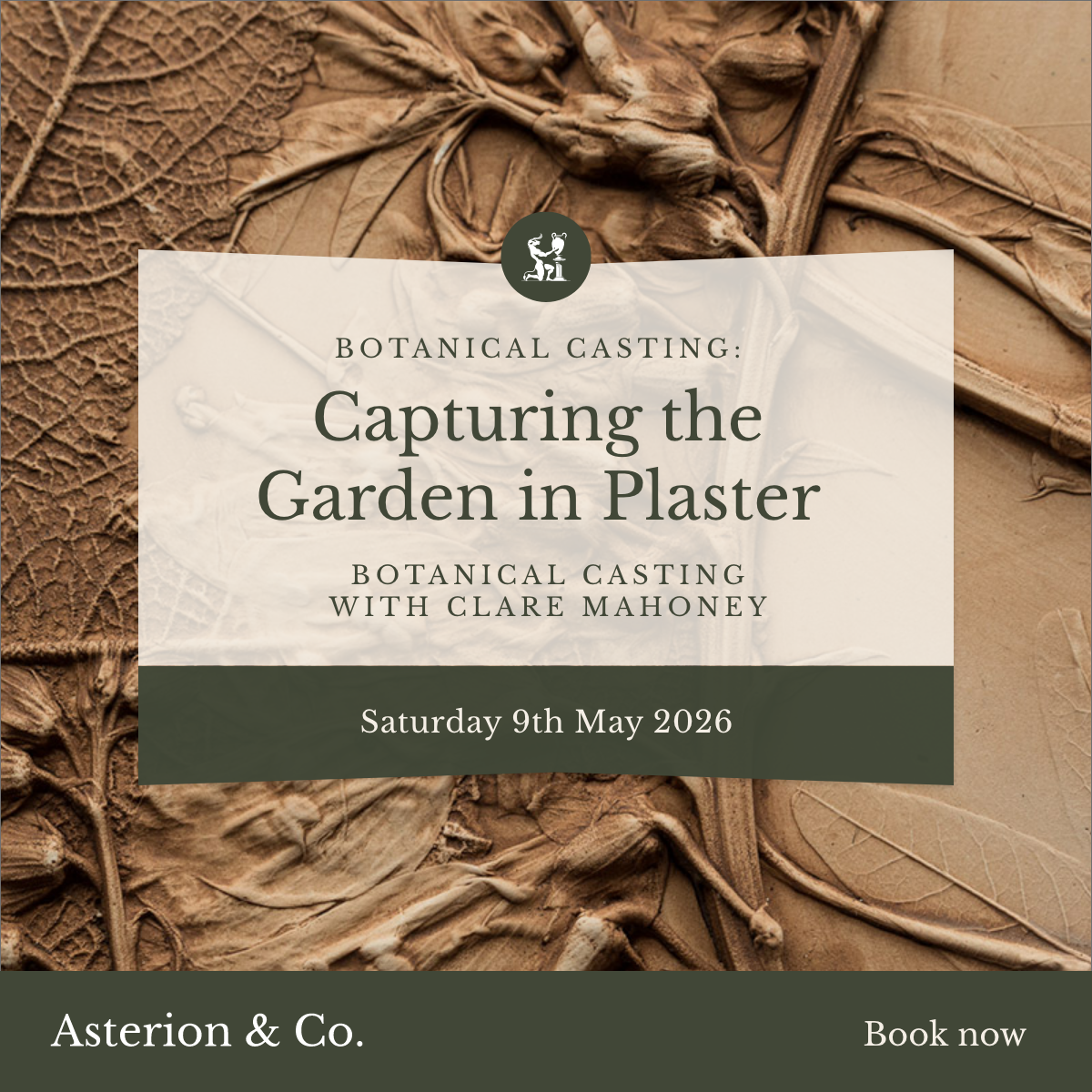Botanical Casting: Capturing the Garden in Plaster. |Saturday 9th May 2026