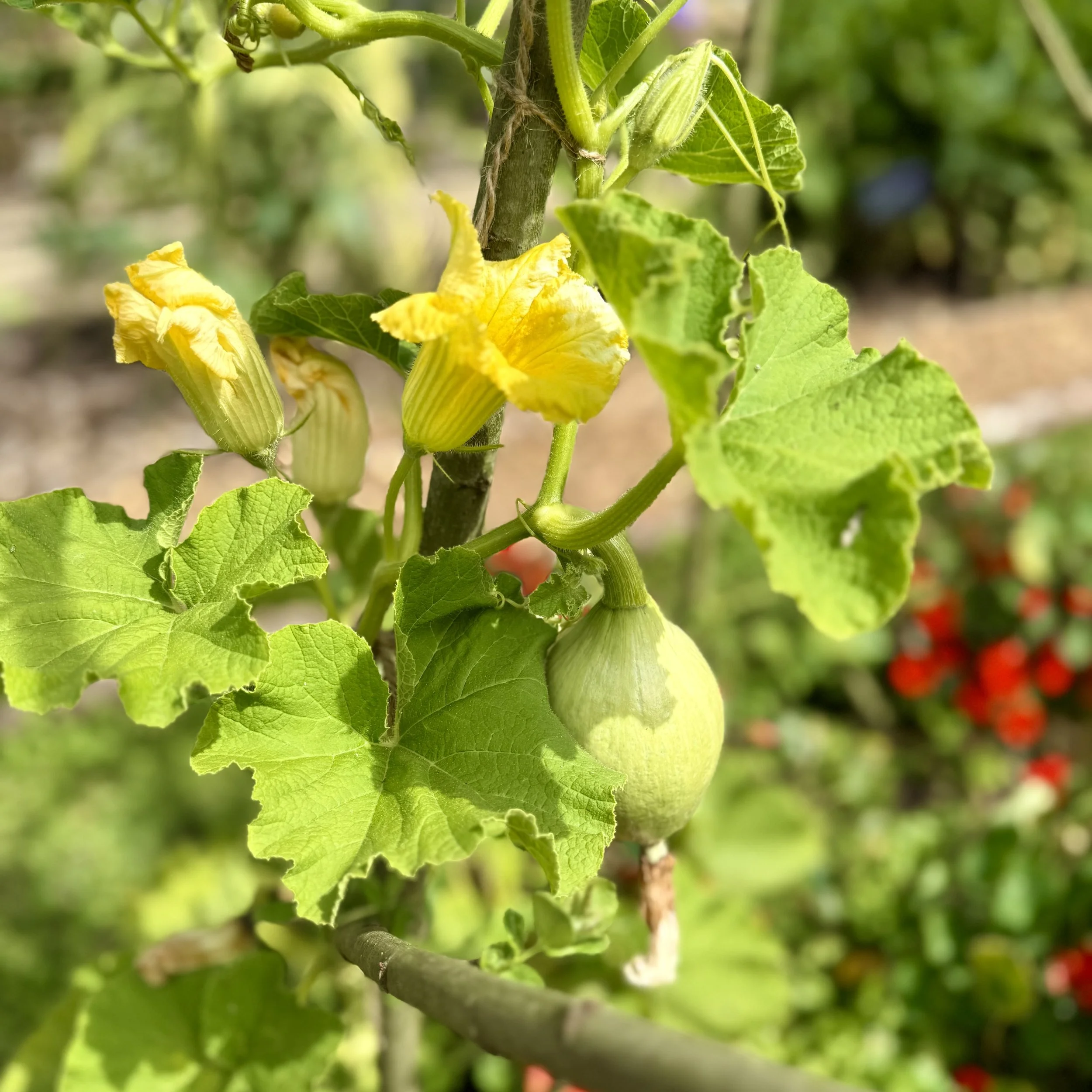 Climbers Asterion and Co.jpeg