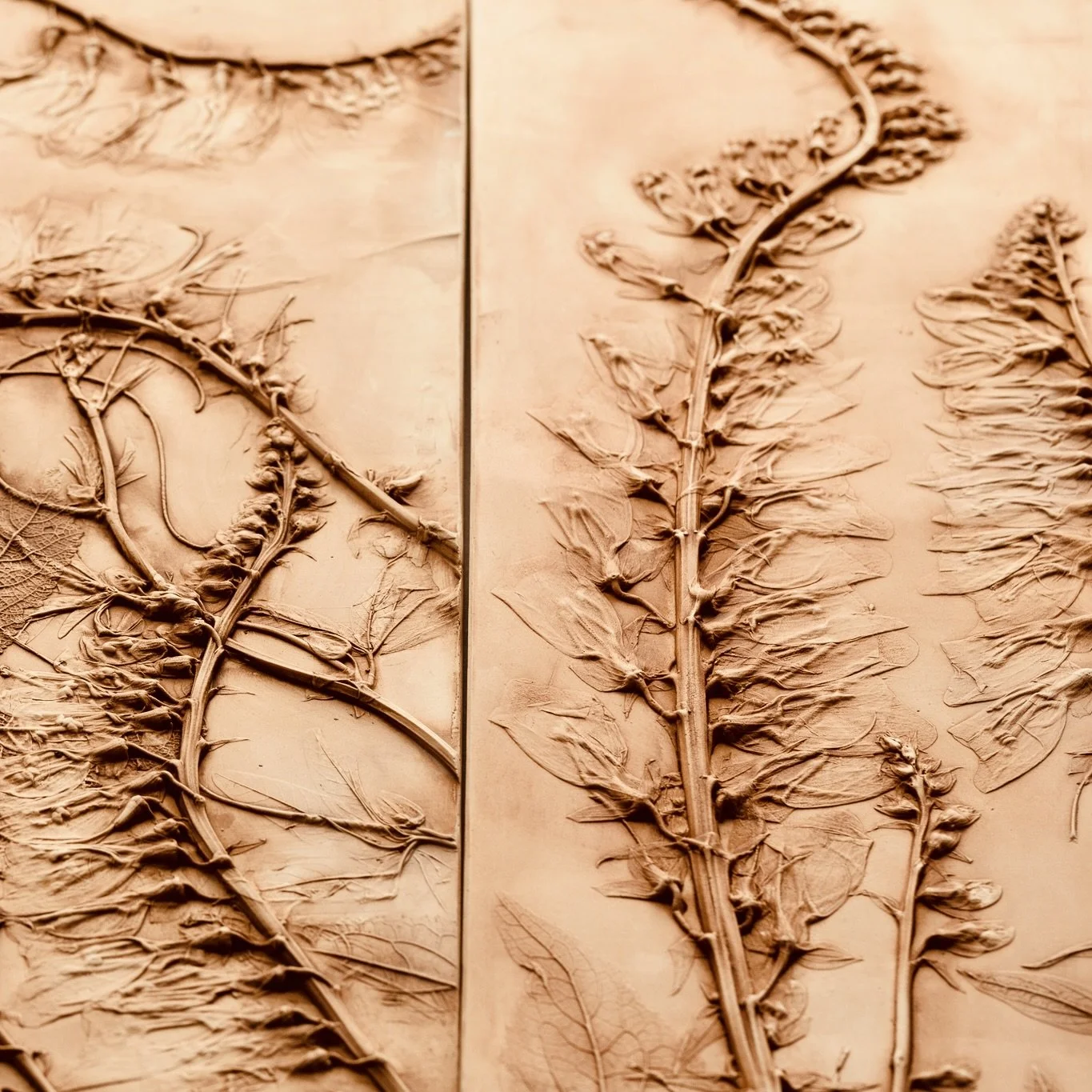 Botanical plaster panel 2 Asterion and Co.jpg