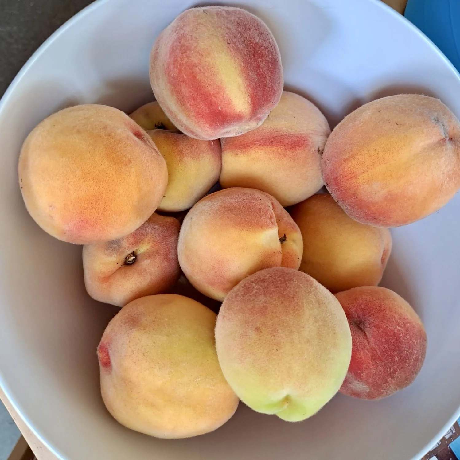 Peaches destined for the kitchen Asterion and Co.jpeg