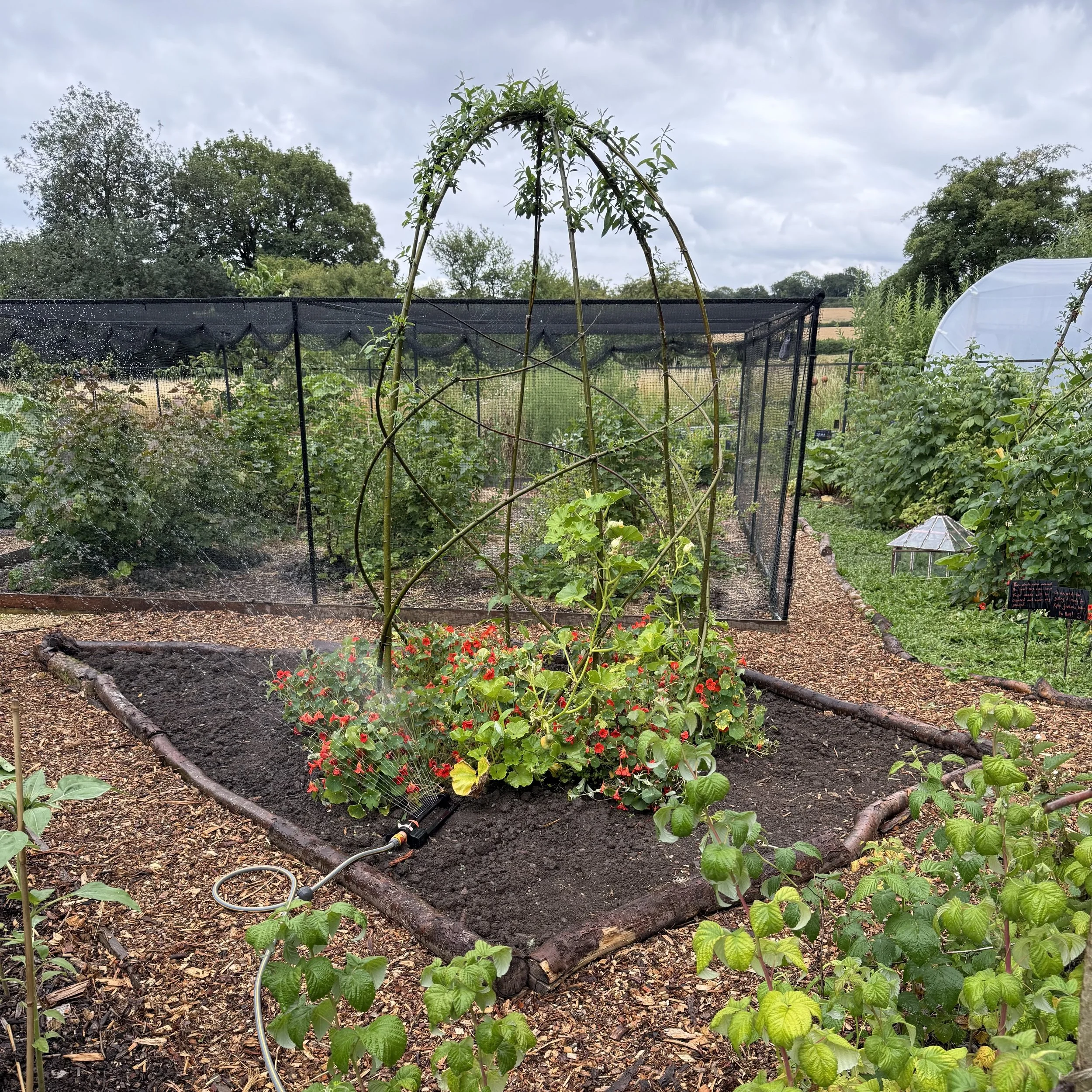 Willow frames for beans A Asterion and Co.jpeg