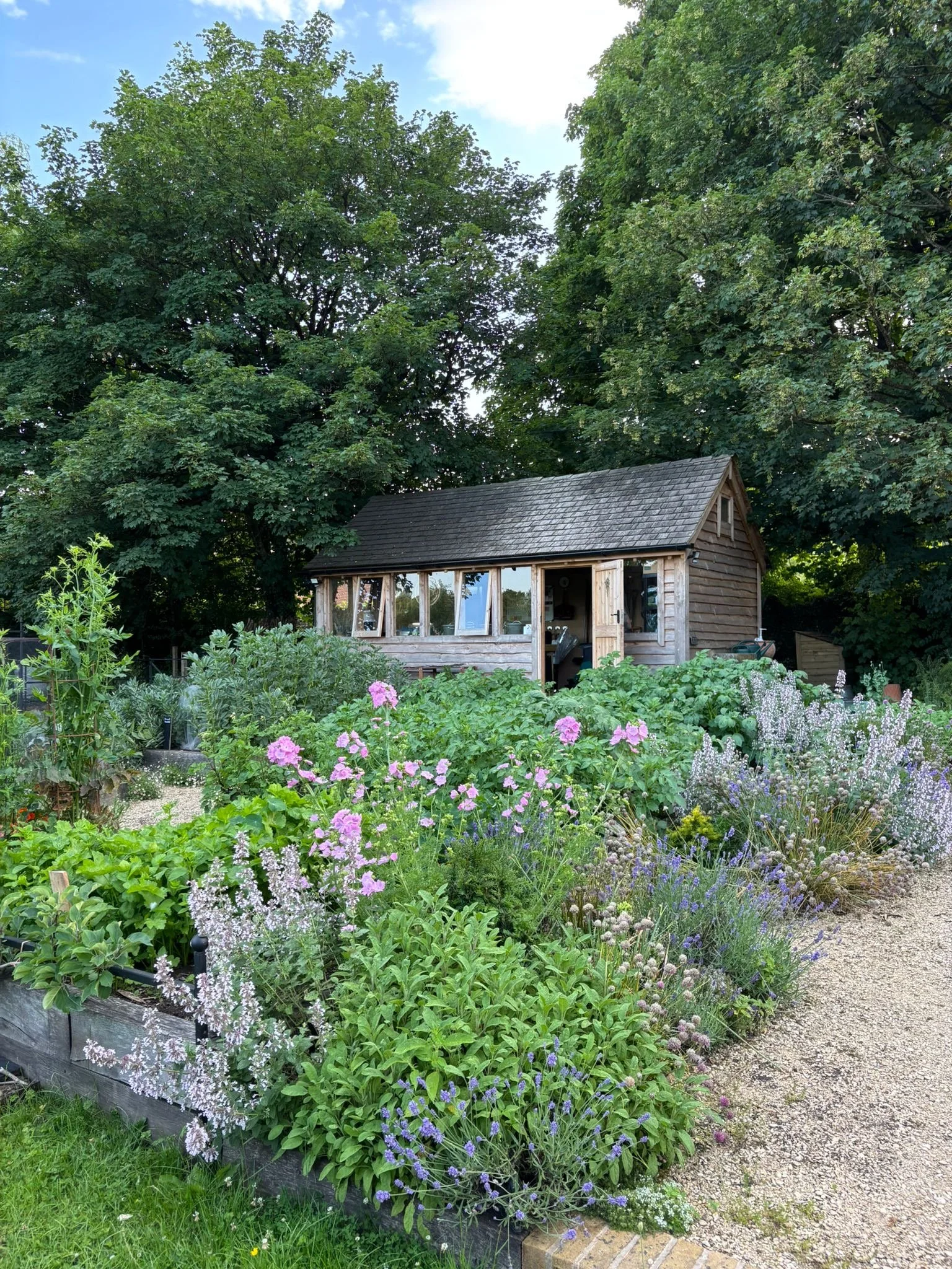 A wooden potting shed surrounded by a lush garden with colorful flowers and greenery, with large trees in the background.