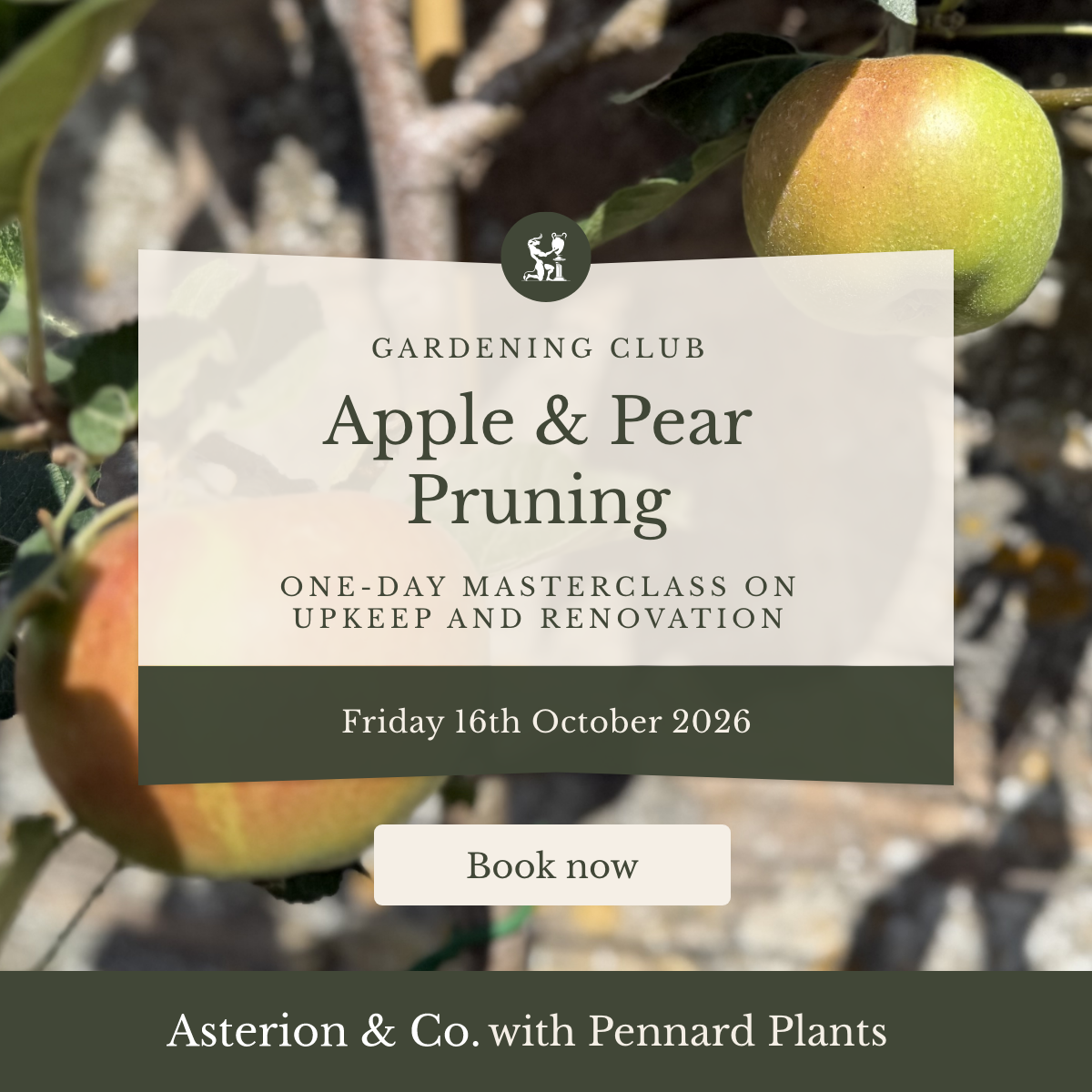 Apple & Pear Pruning: One-Day Masterclass on Upkeep and Renovation. | Friday 16th October 2026