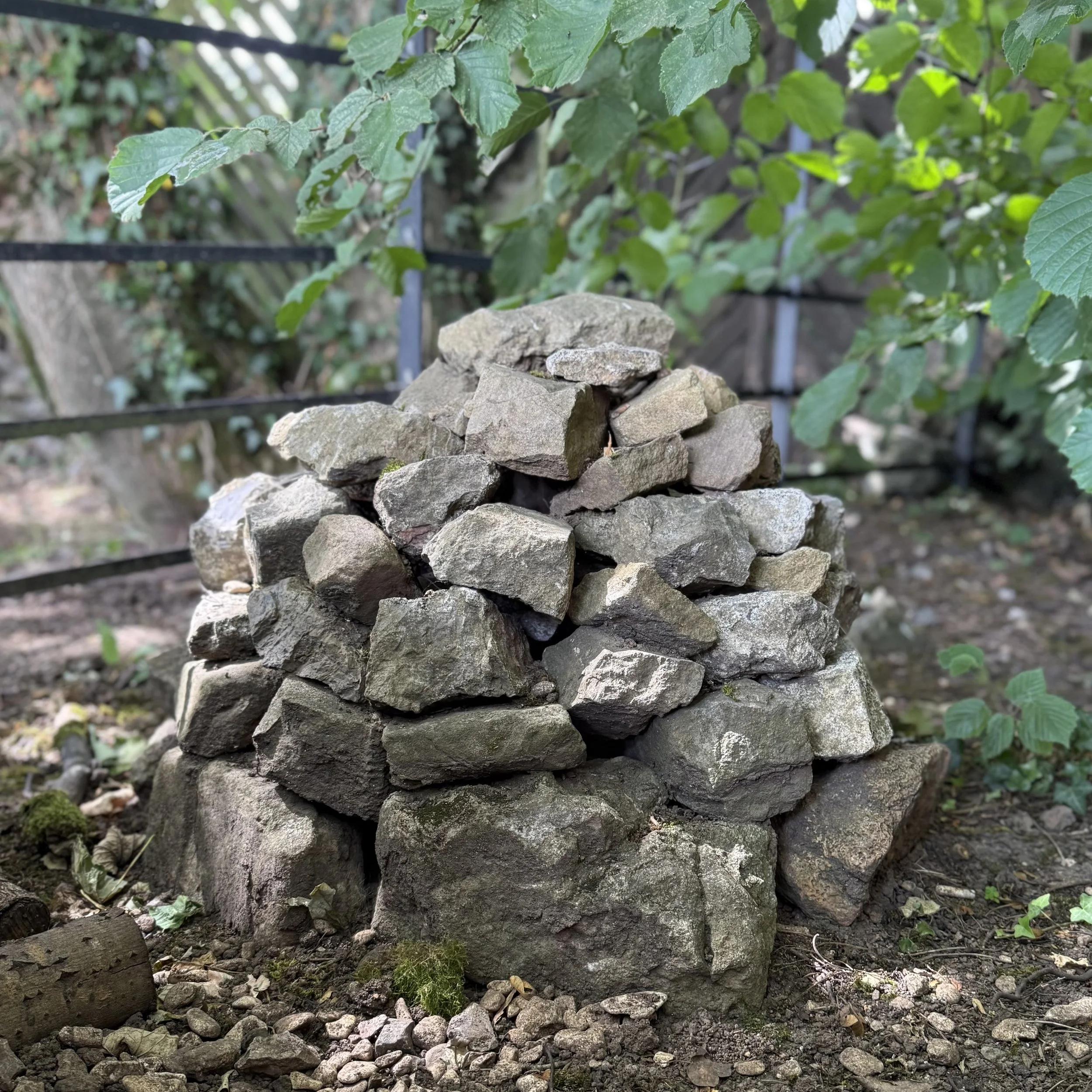 Toad house Asterion and Co.jpeg