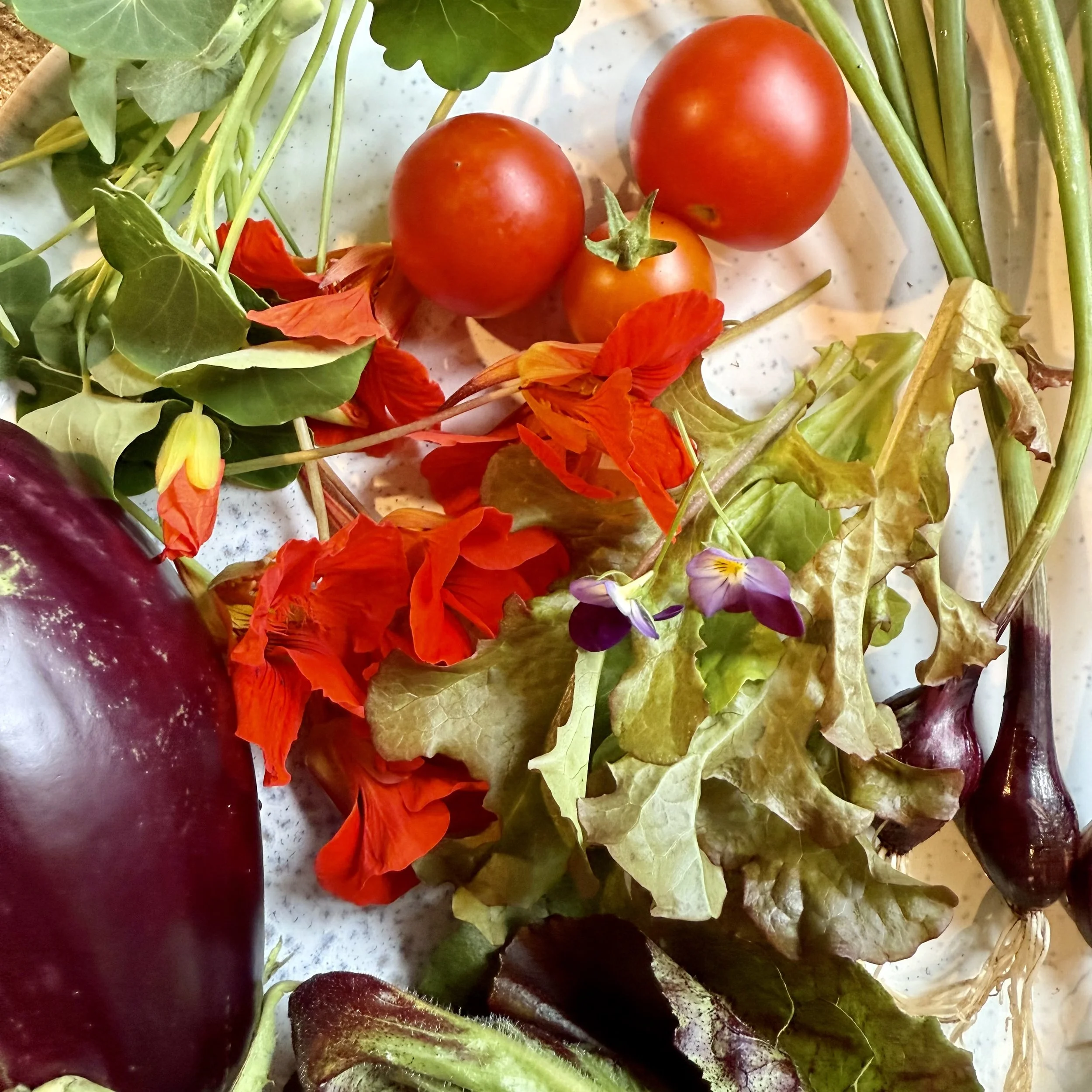 Tomatoes and aubergine for salad Asterion and Co.jpeg