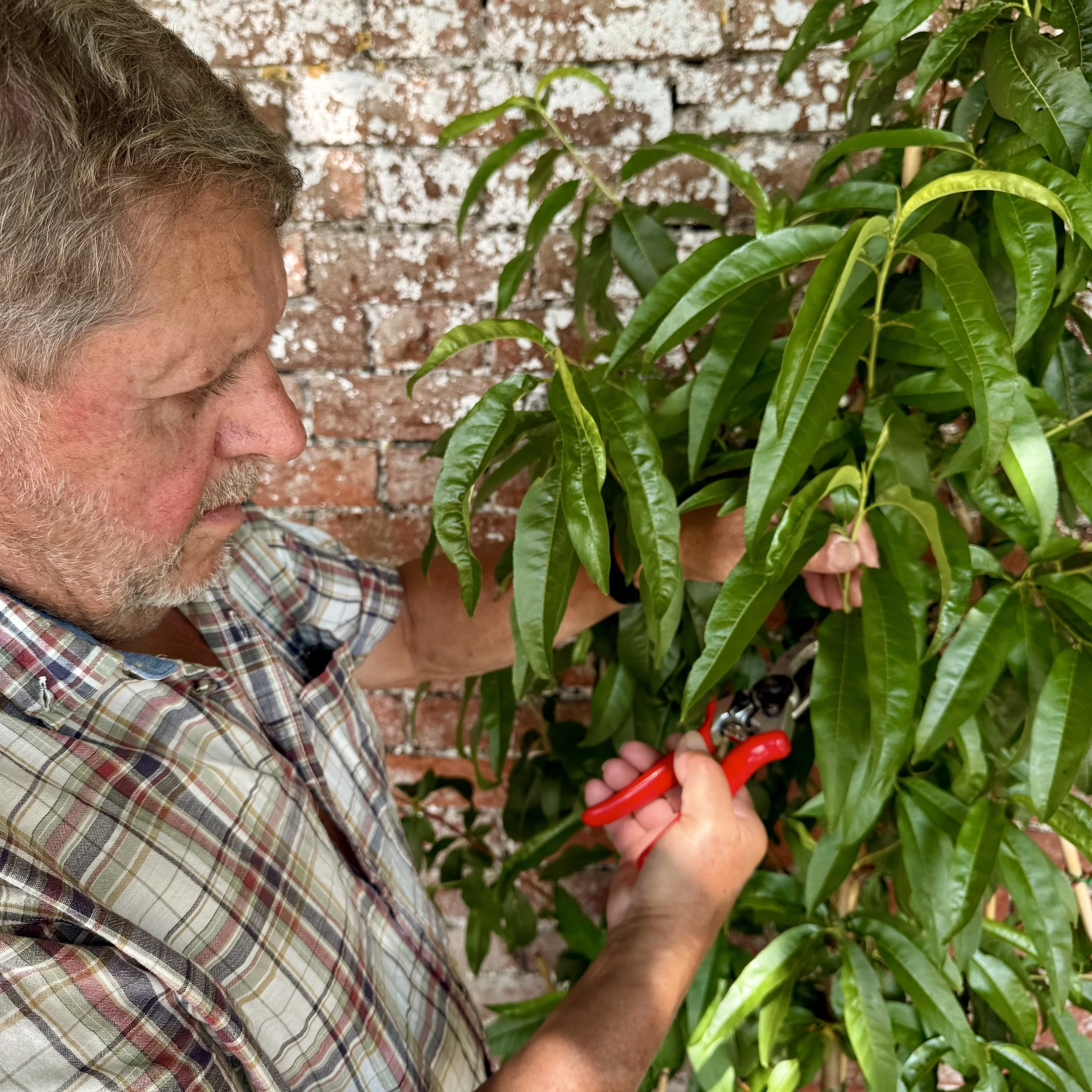 In conversation with Chris Smith, Pennard Plants