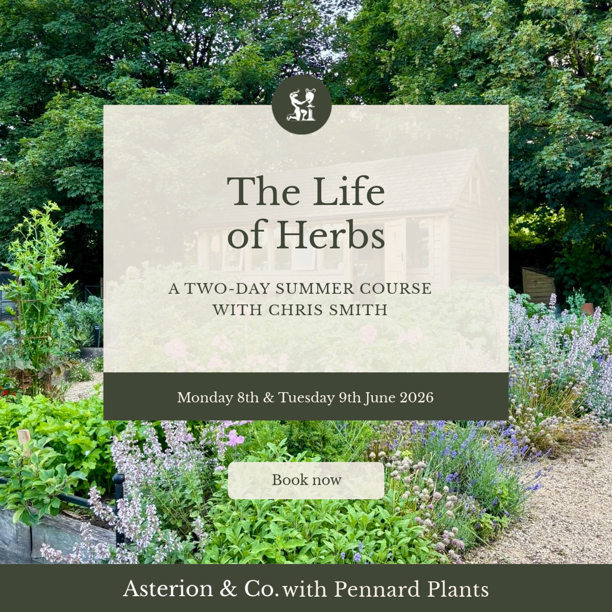 The Life of Herbs: A Two-Day Summer Course. | Monday 8th and Tuesday 9th June 2026