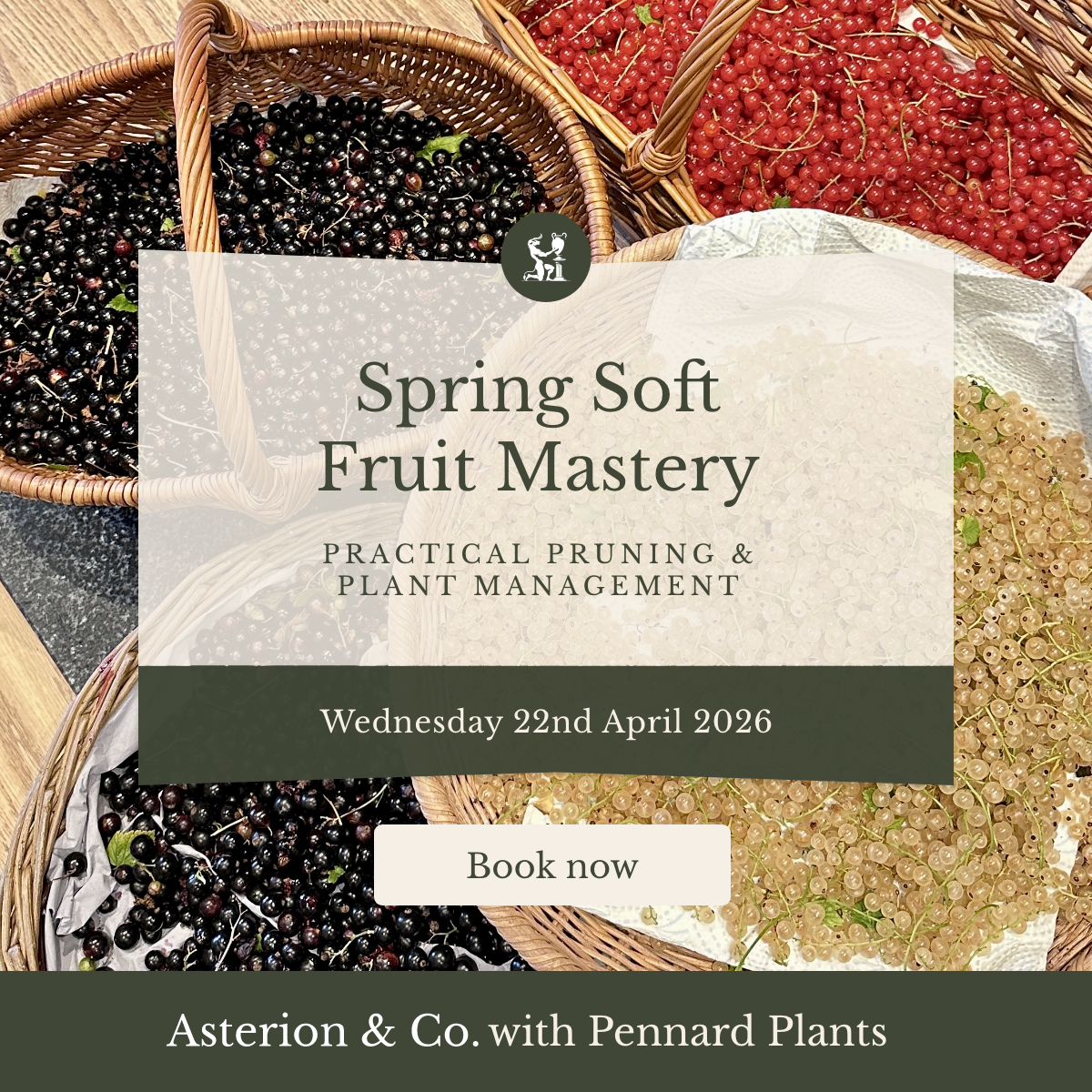 Spring Soft Fruit Mastery: Practical Pruning & Plant Management | Wednesday 22nd April 2026