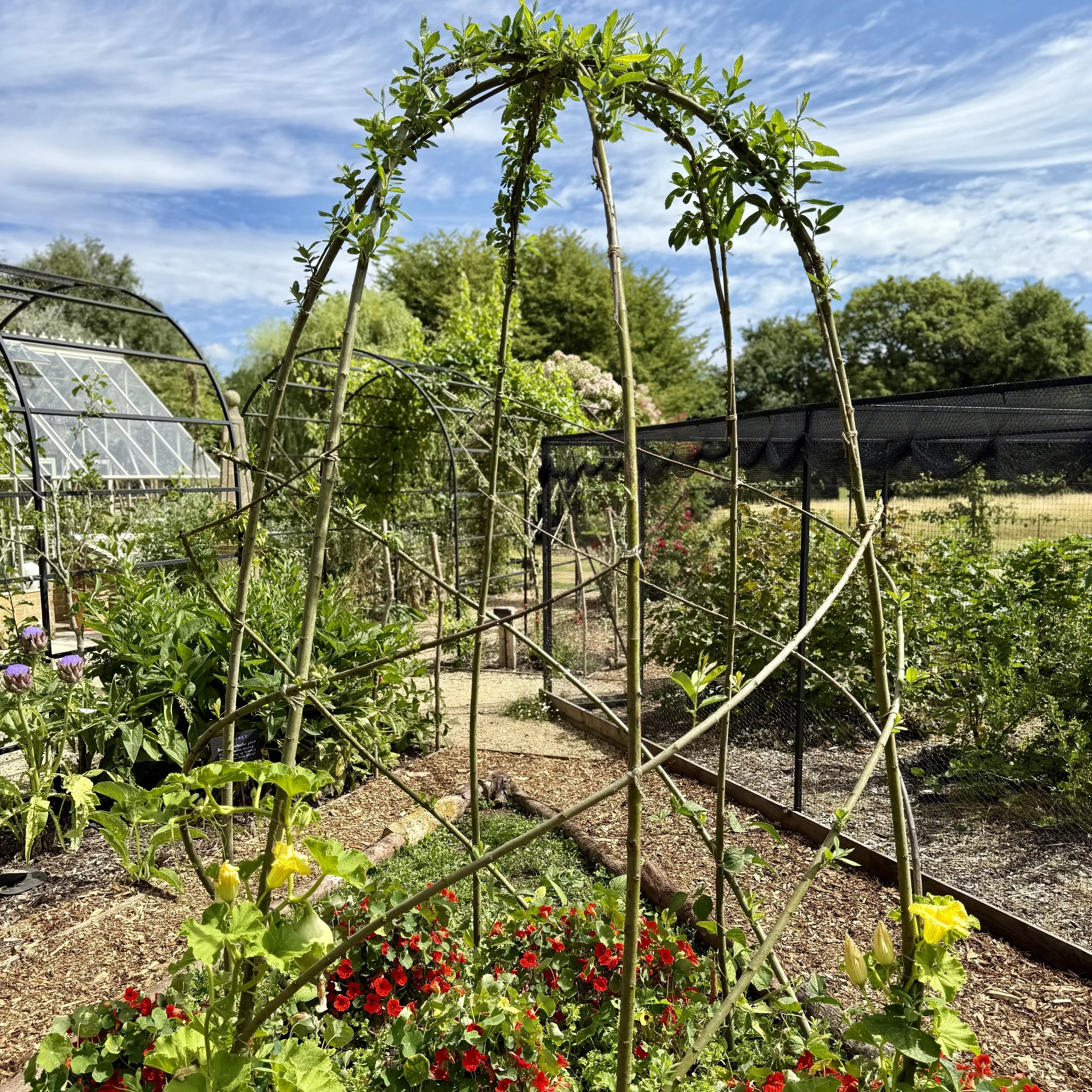 Willow frames for beans B Asterion and Co.jpeg