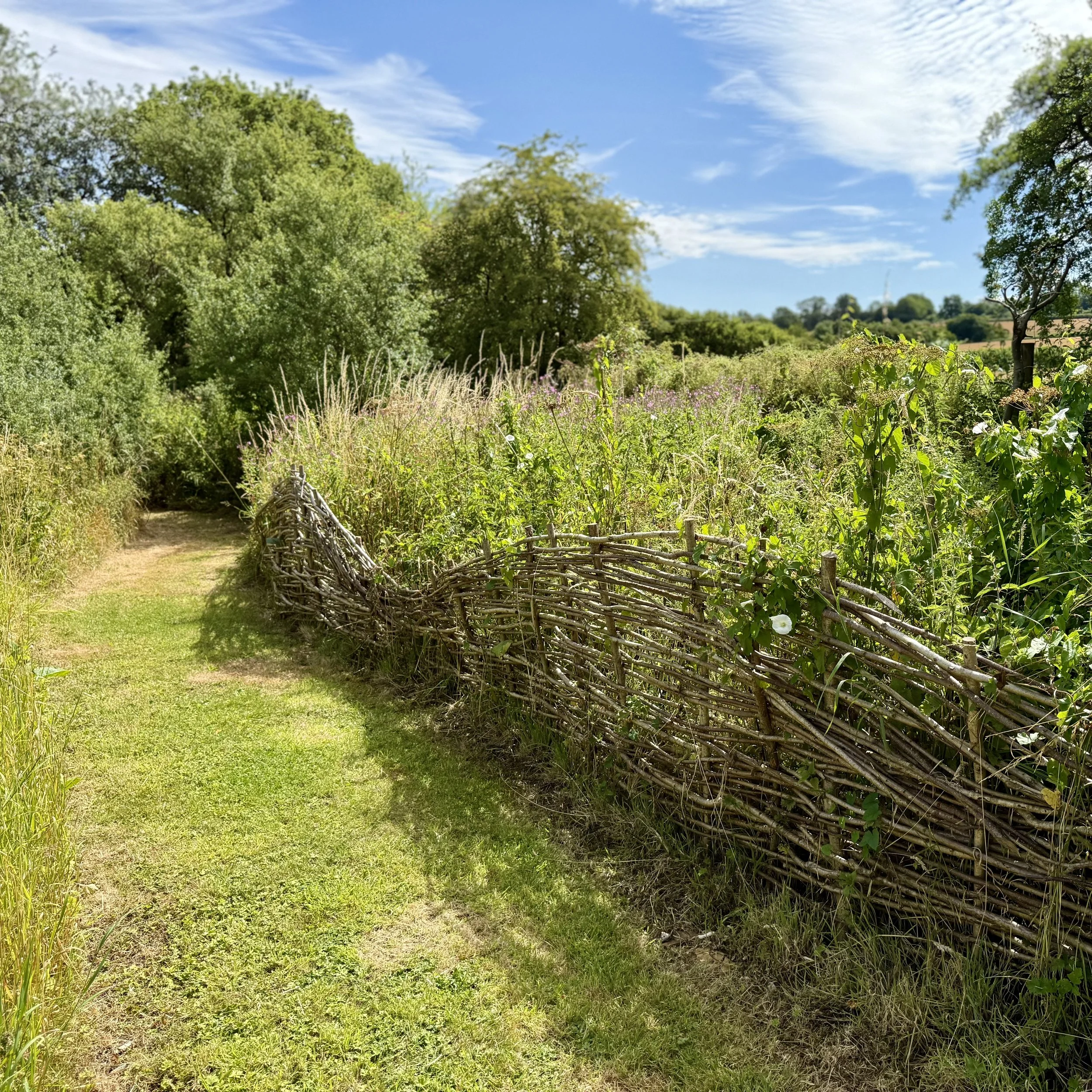 Woven willow fence through wilding area Asterion and Co.jpeg