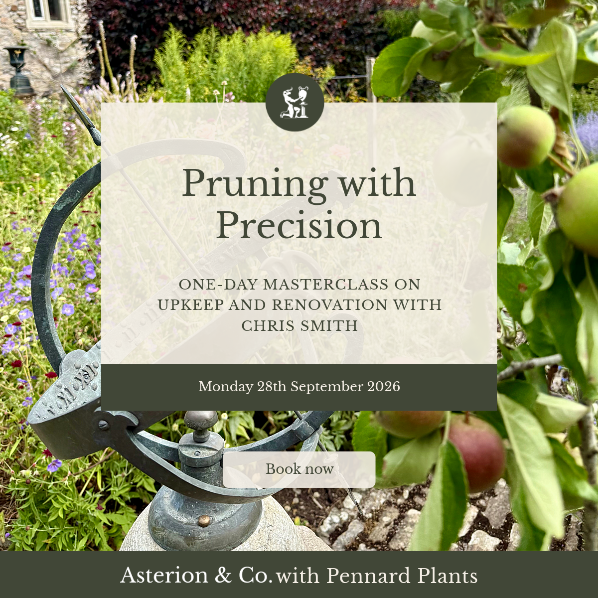 Pruning with Precision: One-Day Masterclass on Upkeep and Renovation. |Monday 28th September 2026
