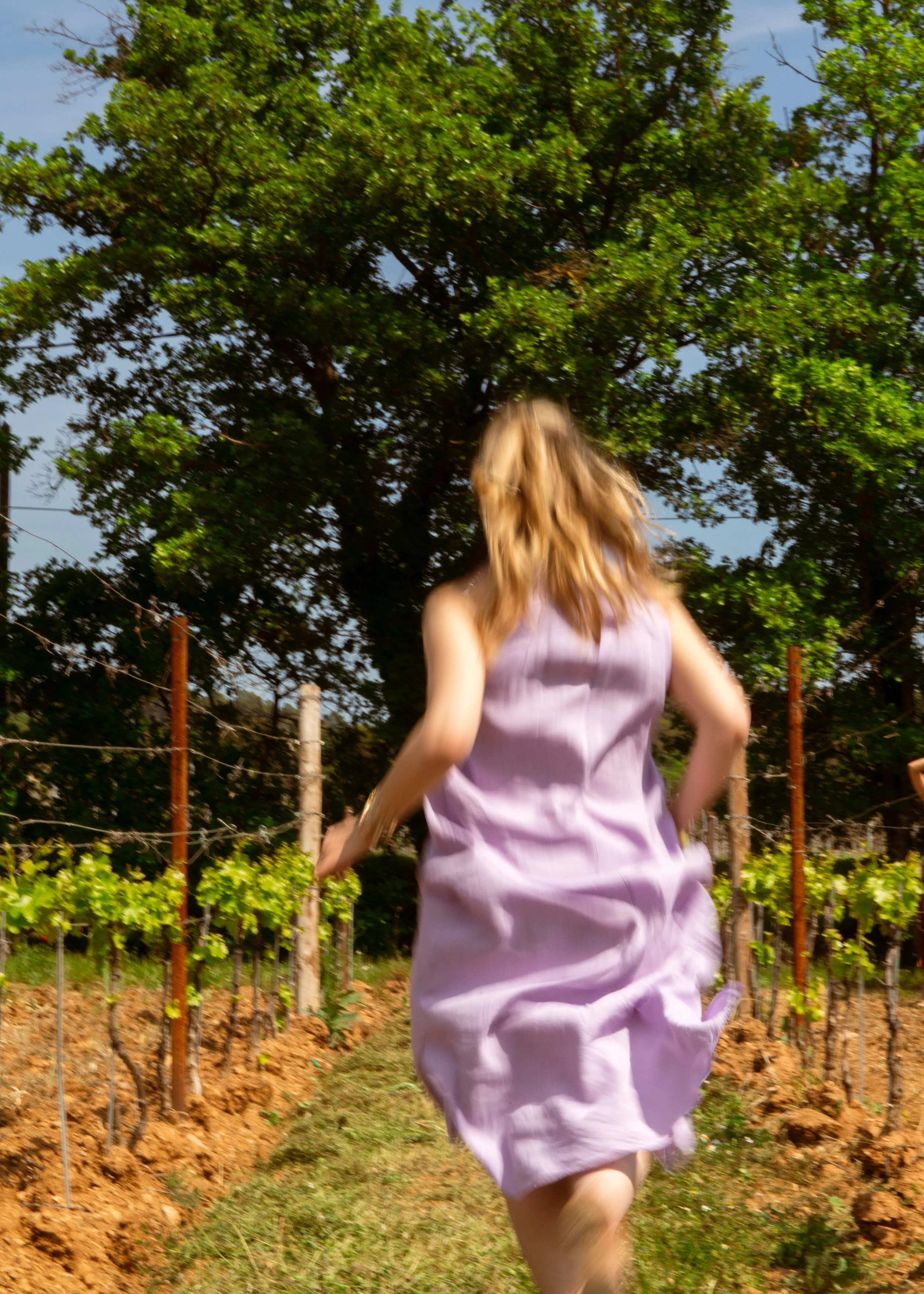 chateau roubine-session avril-pauline de sars-084.jpg