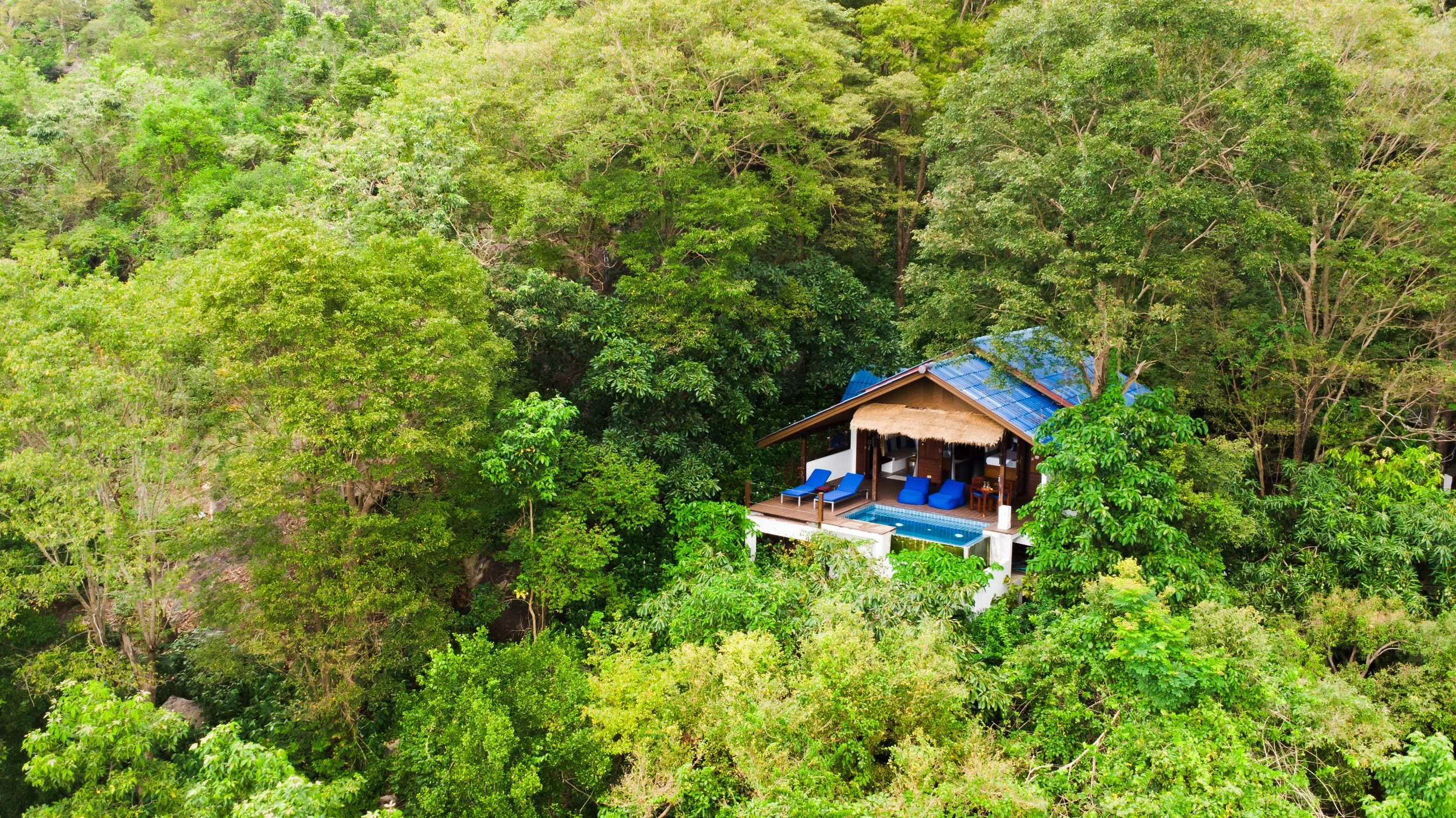 Une maison en bois avec un toit bleu et une terrasse, entourée d'une forêt dense de feuillus verts.