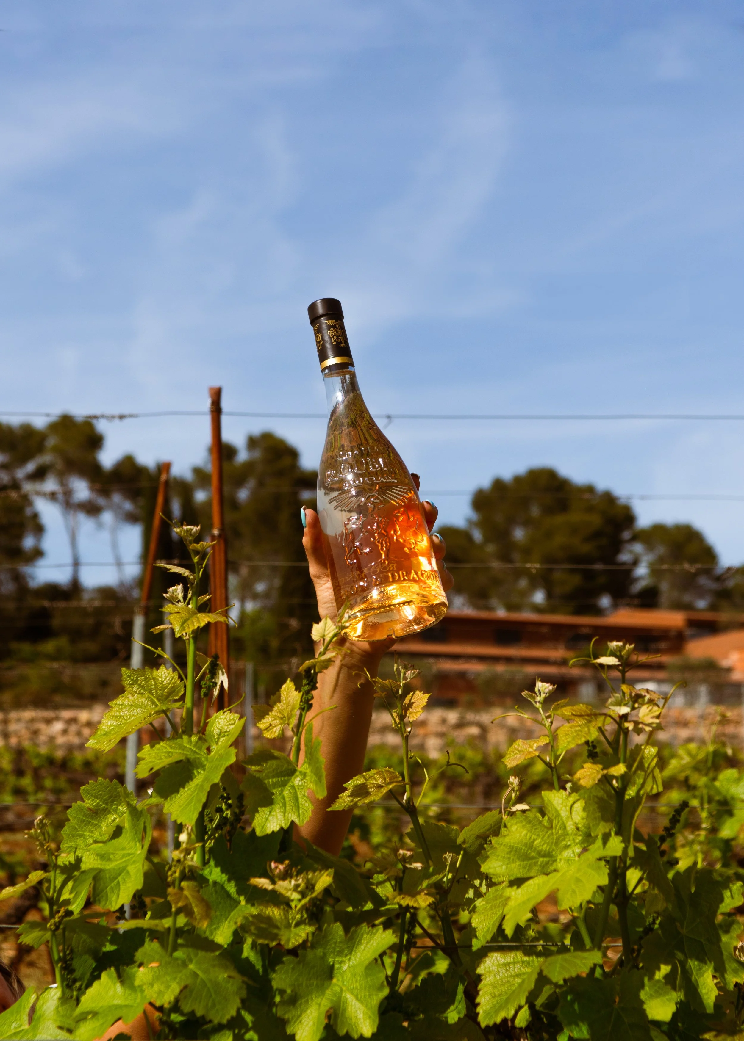 ©Pauline de Sars-Château Roubine-V2-112.jpg
