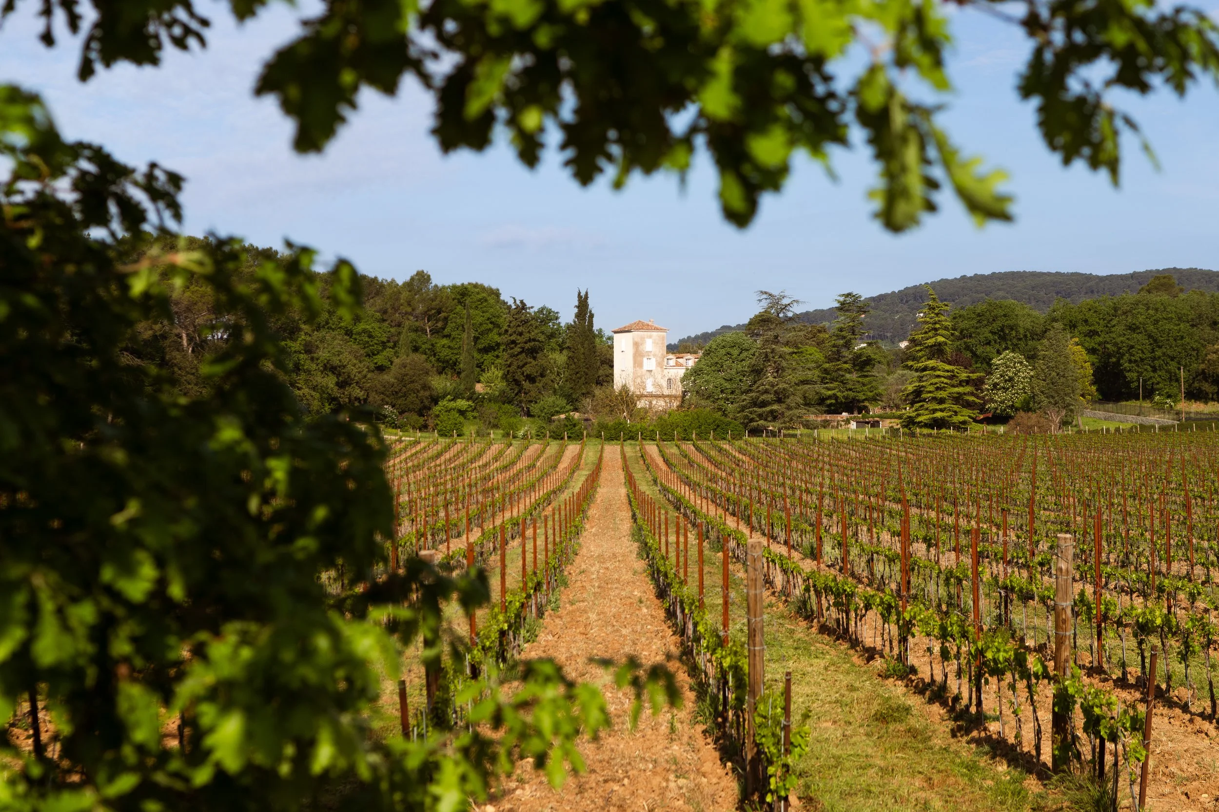 chateau roubine-session avril-pauline de sars-018.jpg