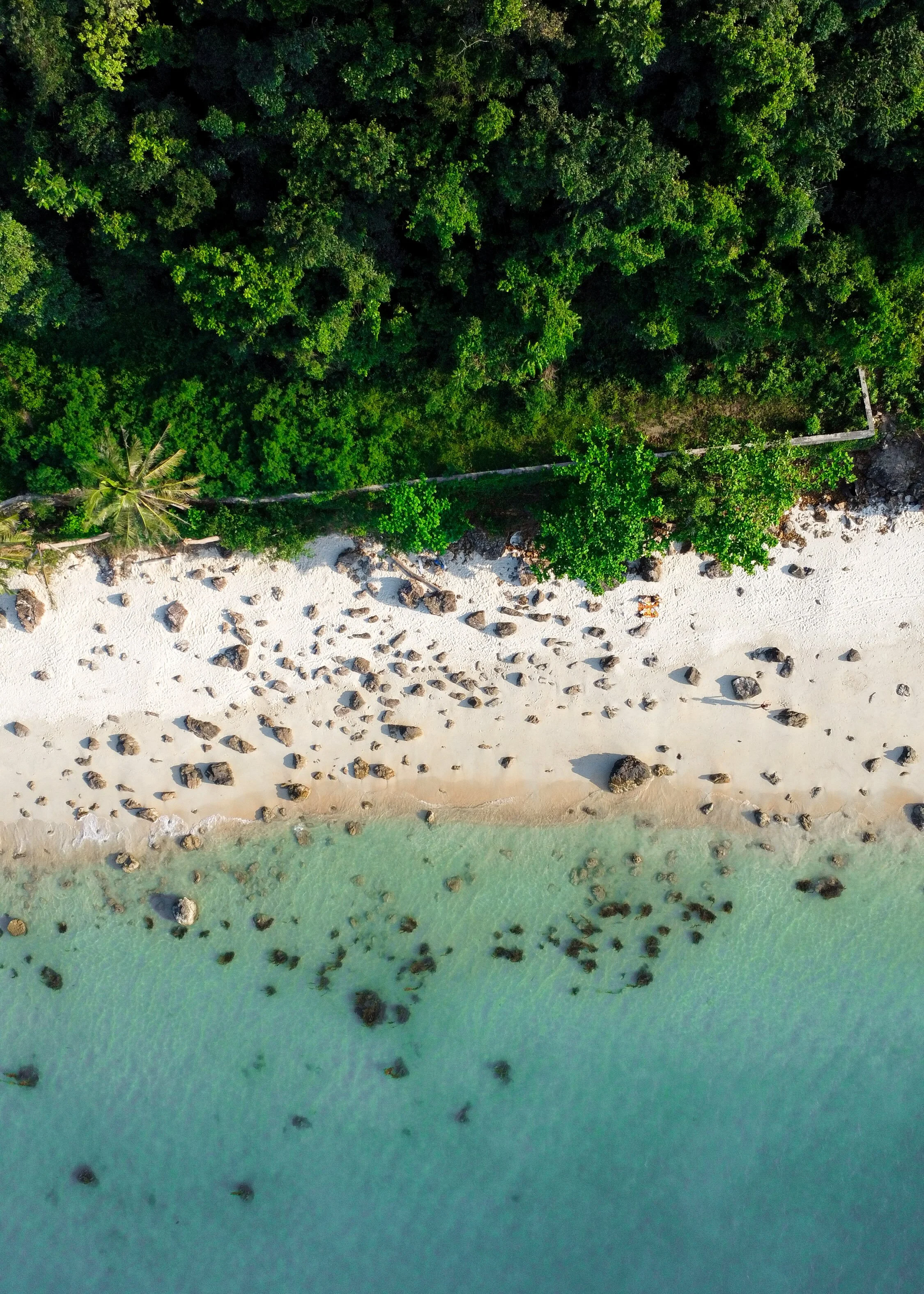 Photo aérienne d'une plage avec des rochers, de l'eau turquoise et une forêt dense en arrière-plan.