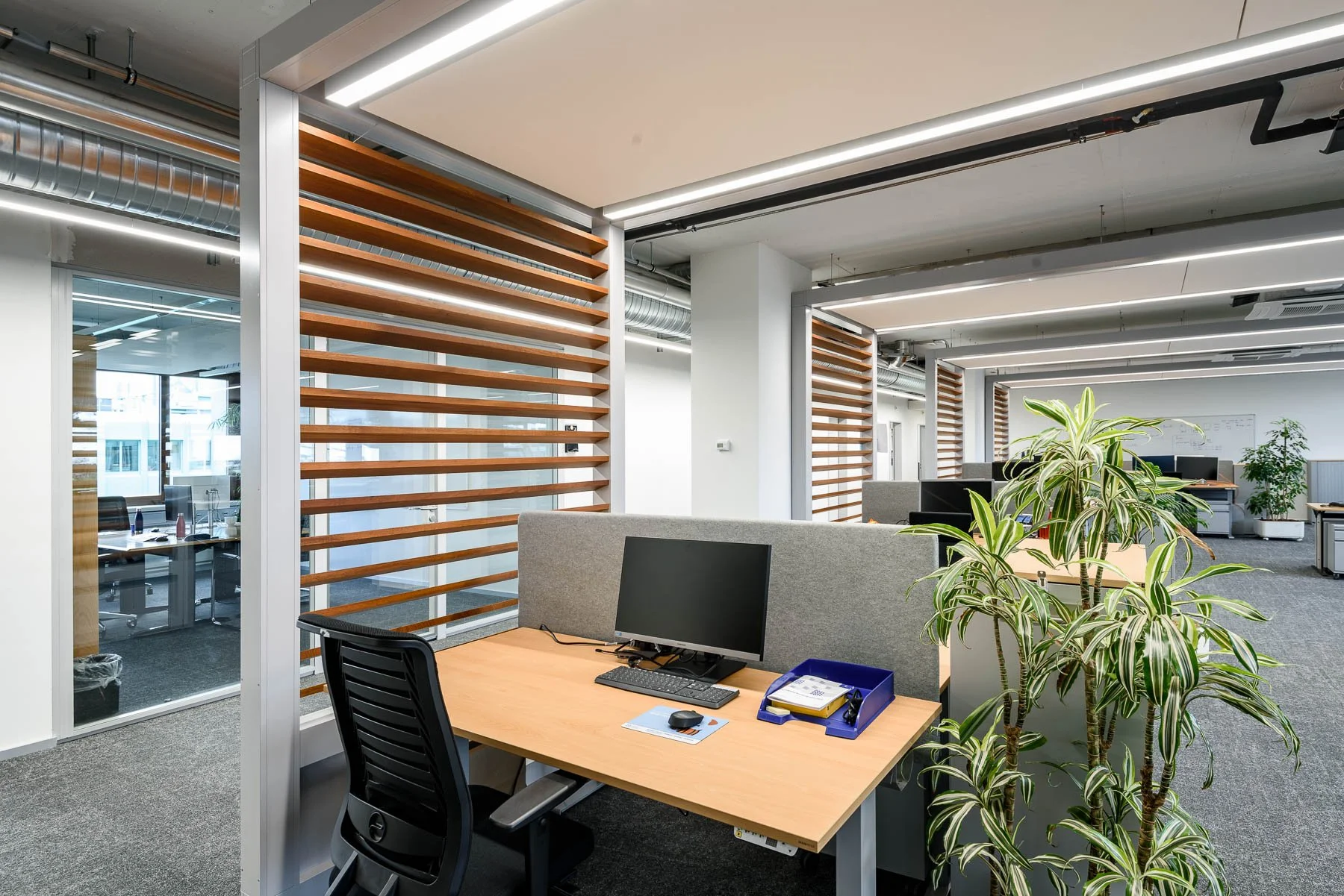 Aerztekasse_Gesundheitseinrichtungen_med-design_Pendt Innenausbau (27).jpg