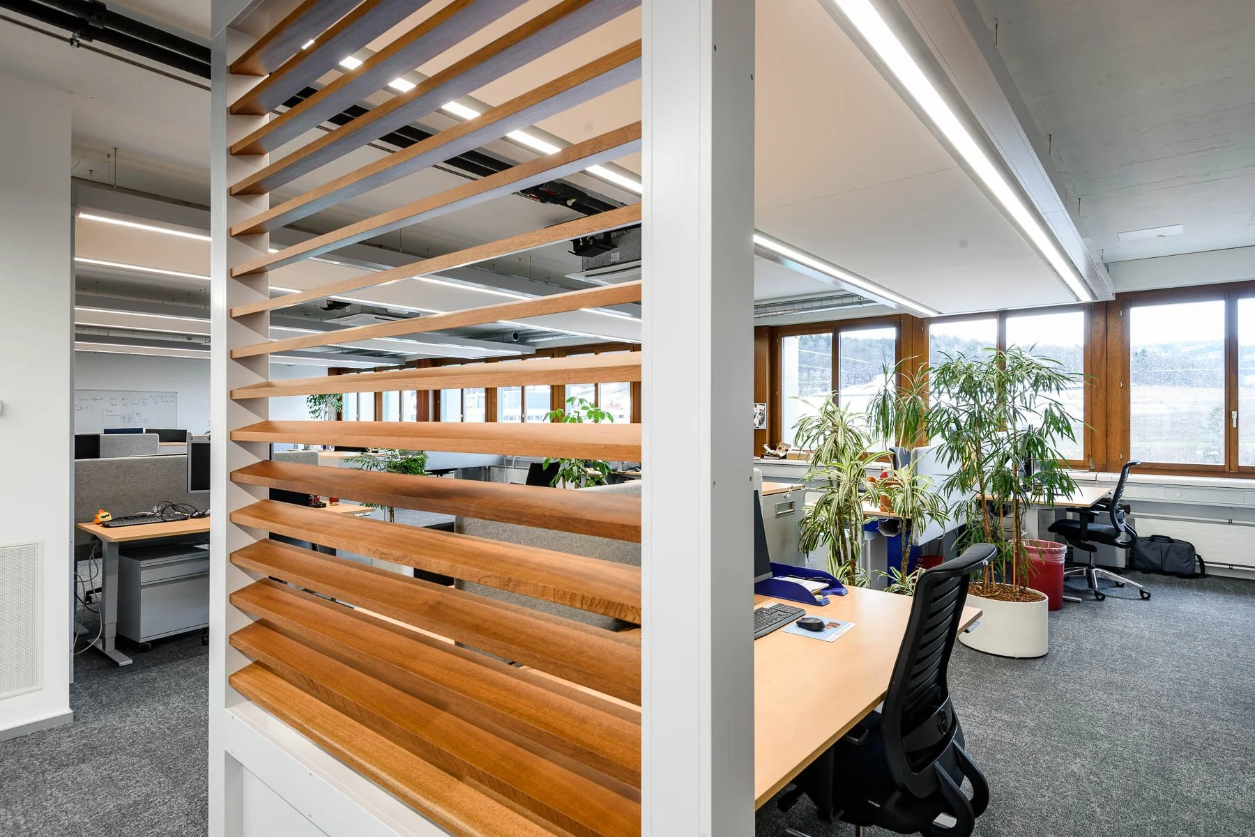 Aerztekasse_Gesundheitseinrichtungen_med-design_Pendt Innenausbau (25).jpg