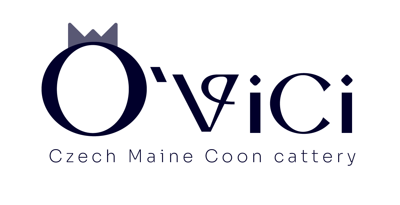 O&#39;Vici cattery