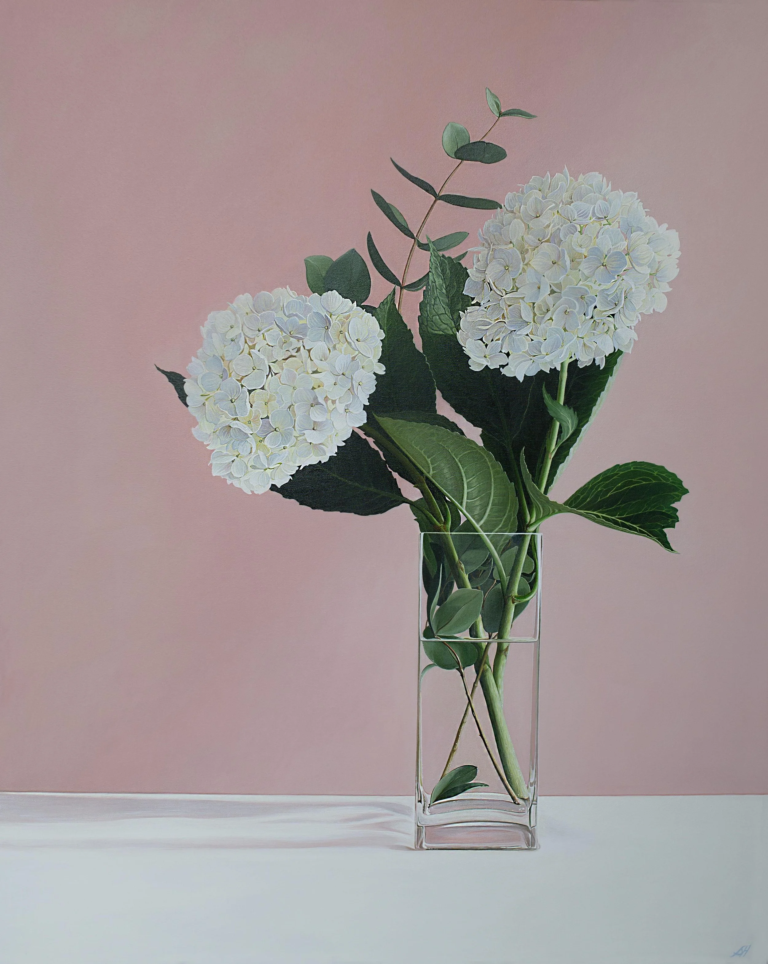 White Pink Hydrangea #01