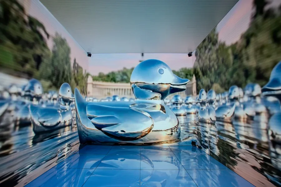 2-Silver-Ducks.webp