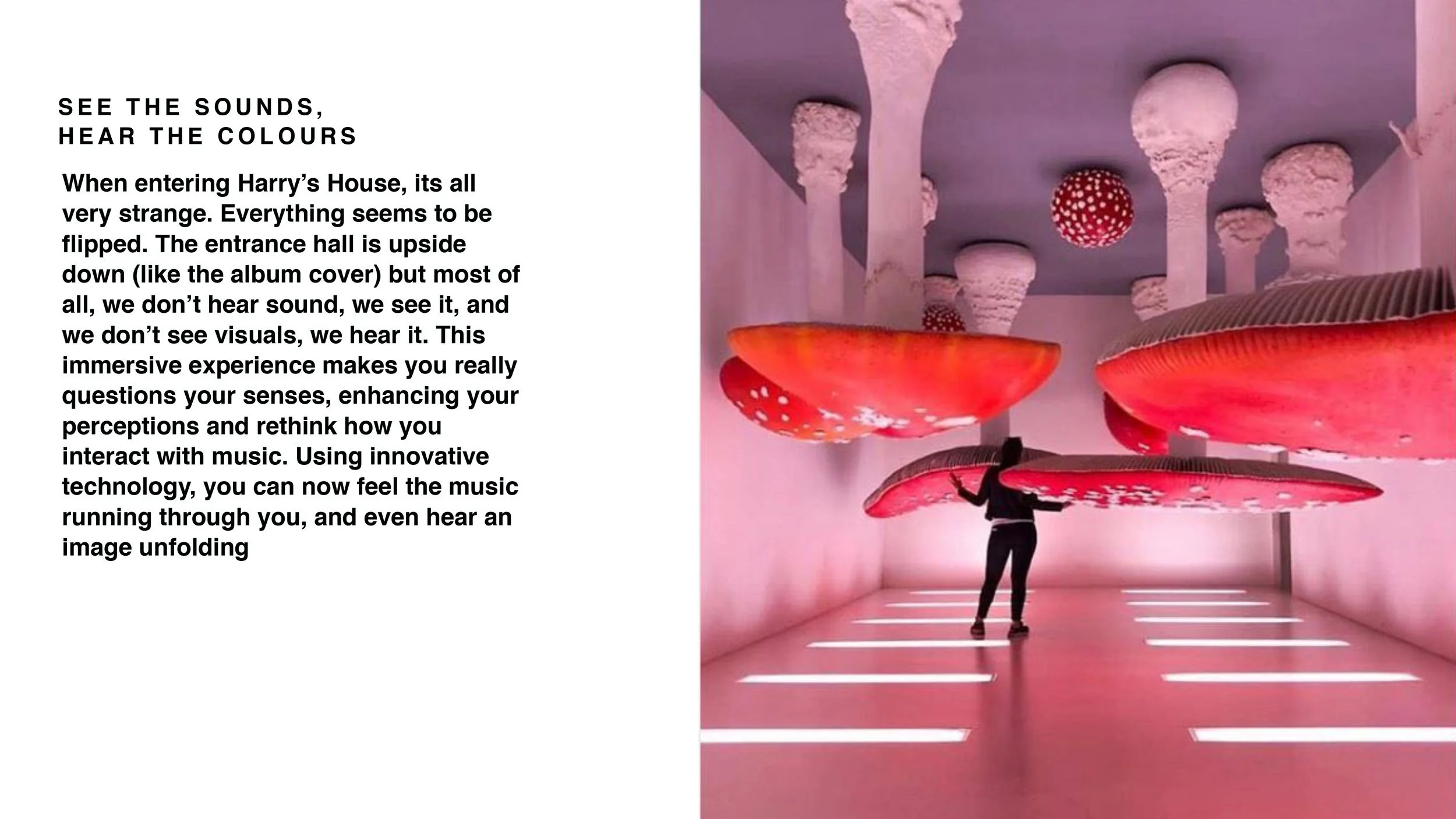 APPLE MUSIC HARRY'S HOUSE_page-0011.jpg