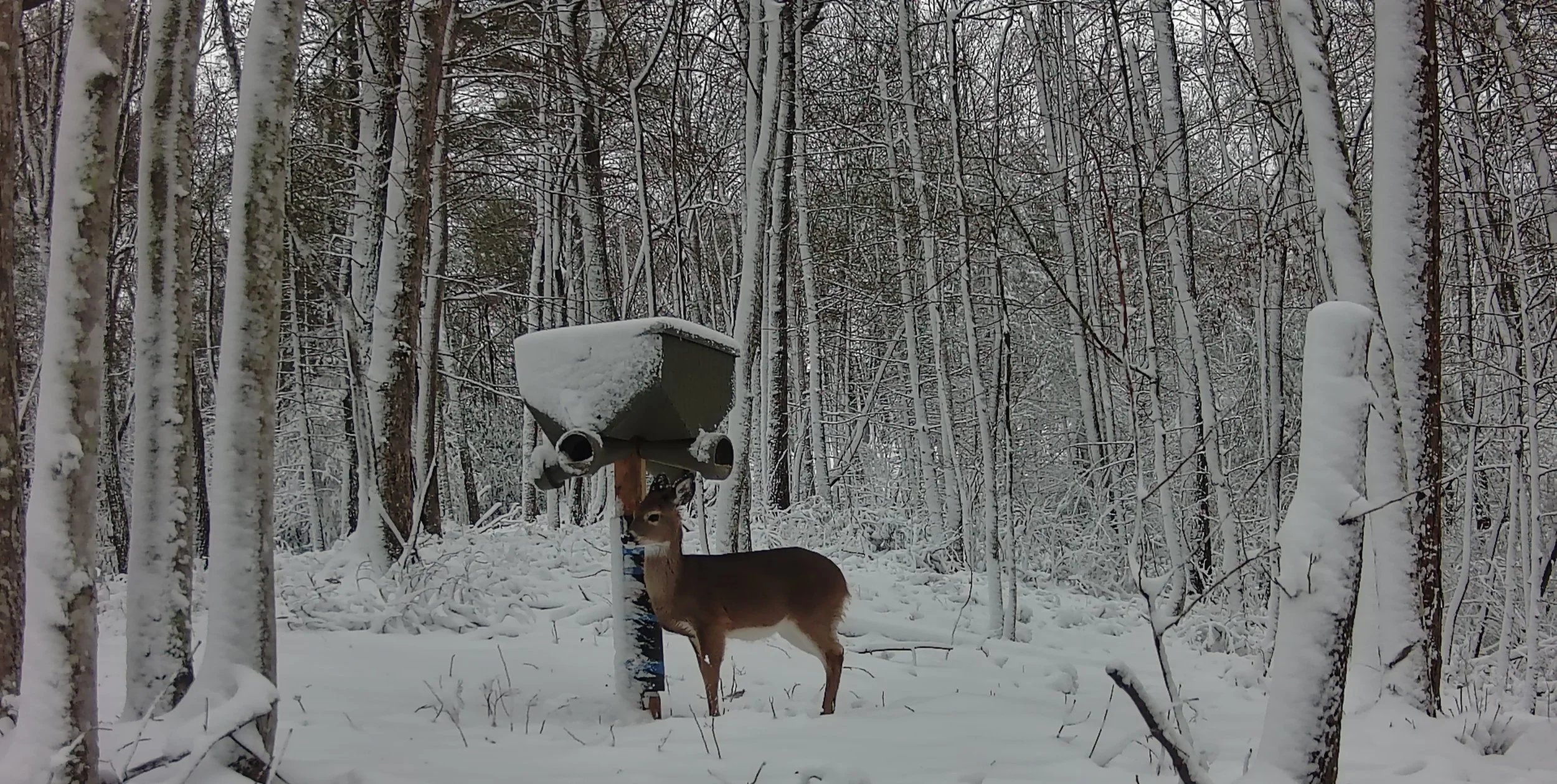 Calm Is Control: Why Leaders Who Stay Centered Create the Strongest Teams