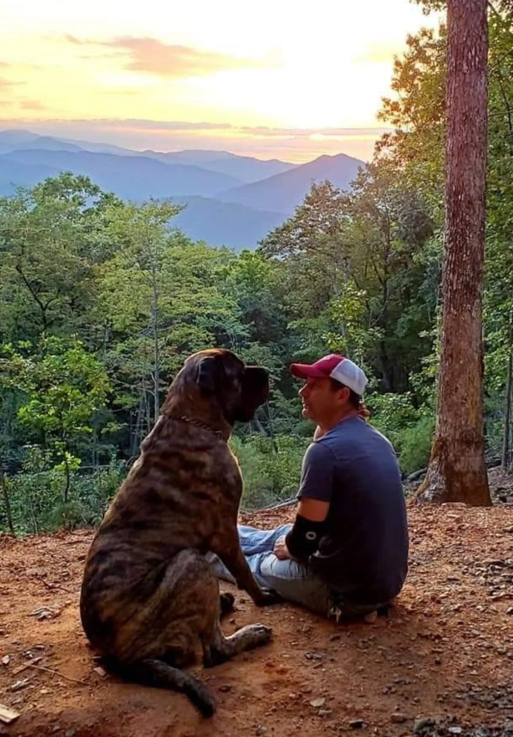 Hire the Athlete, Not the Position: Why Winning Teams Build Roles Around Talent