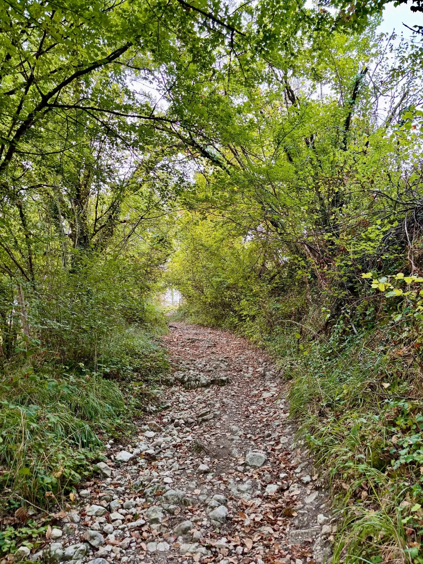 There&rsquo;s a hike trail just 5 minutes away from your Petit Ch&acirc;teau&hellip; where forest paths, golden fields, and quiet country roads lead you into the heart of Dordogne&rsquo;s untouched beauty. It&rsquo;s not just a walk, it&rsquo;s a rem