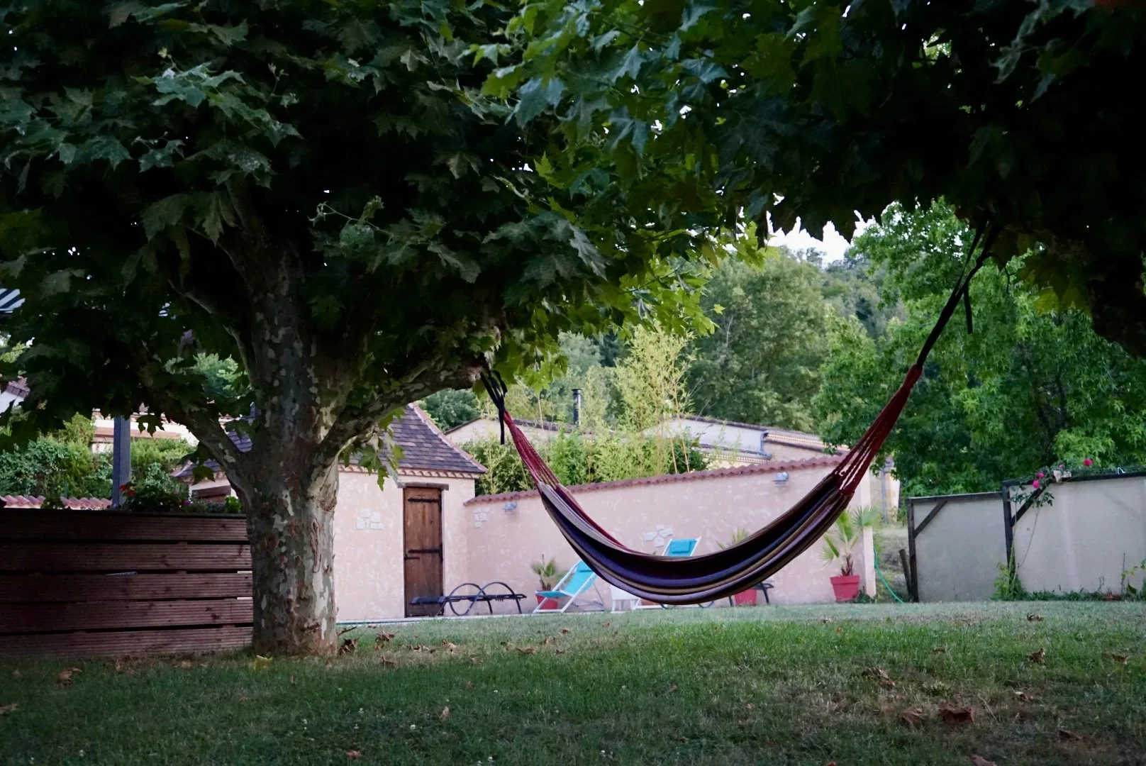 A hammock hanging between two trees in a backyard with green grass, a wooden fence, potted plants, and outdoor furniture in the background.