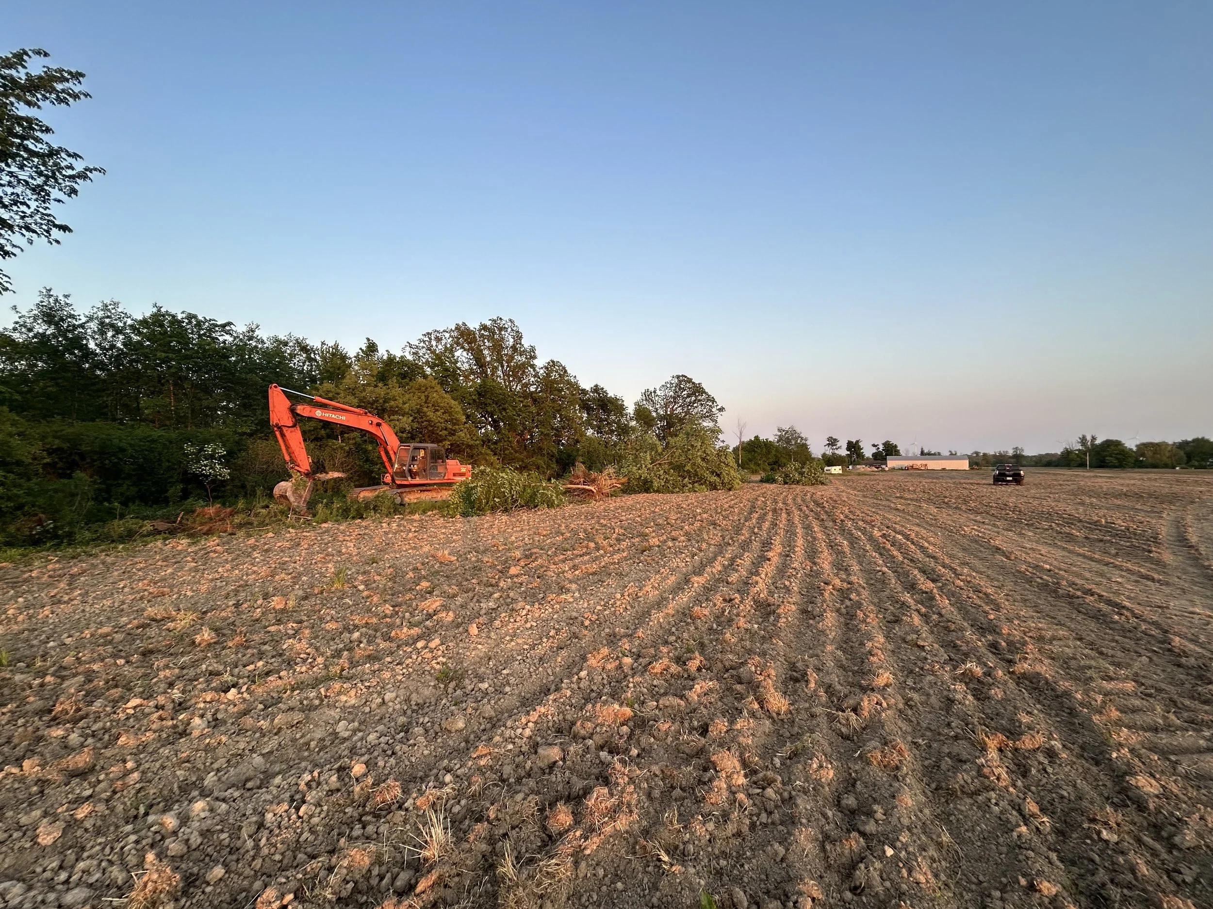 Land Clearing