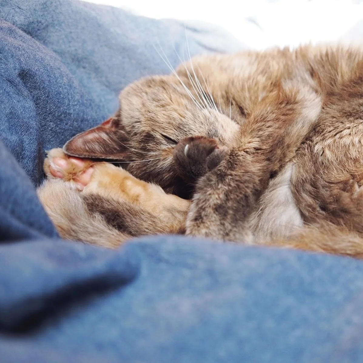 soft and sunny ☀️ #sweetbabygirl