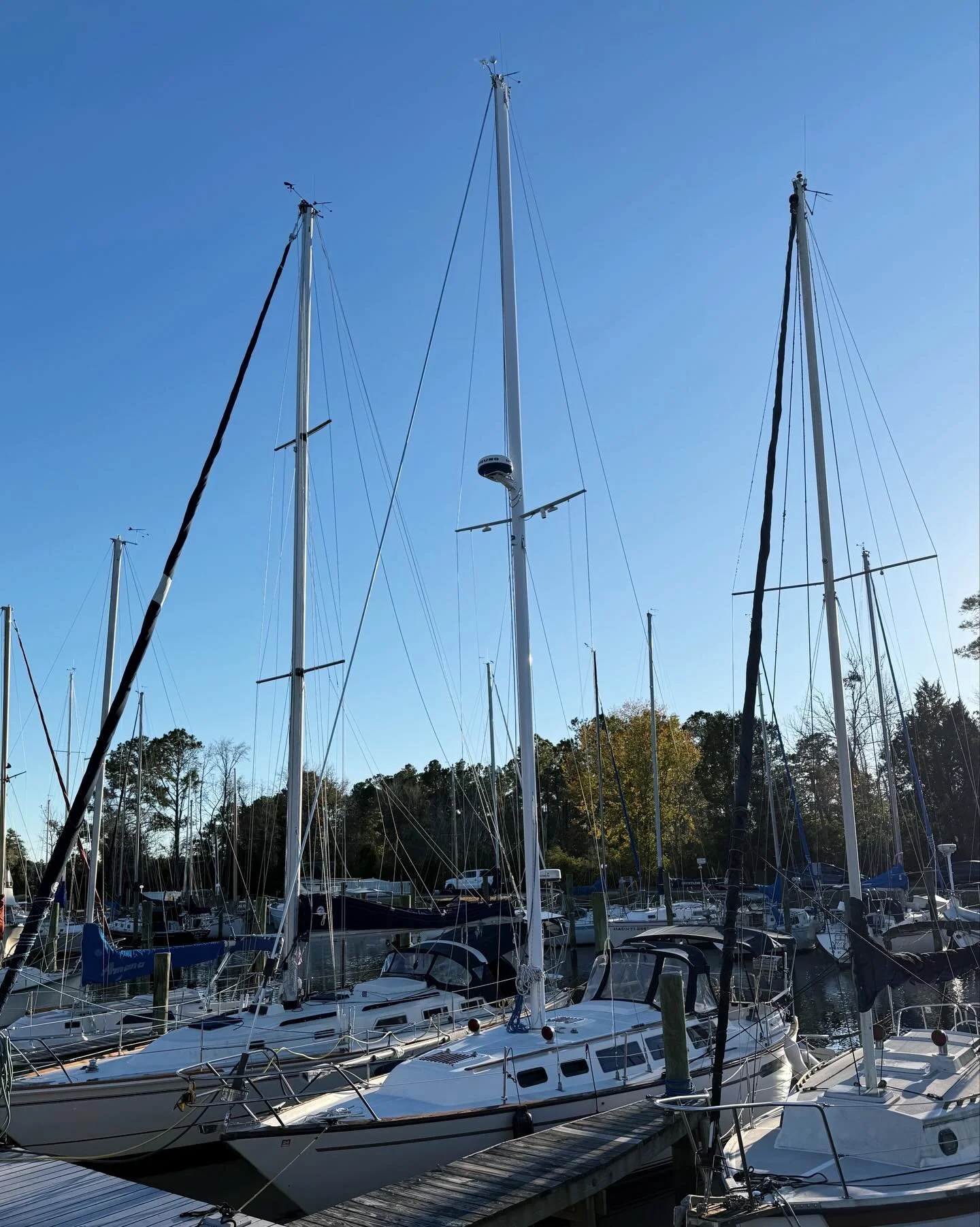 We are a sailboat once again! The mast went up on Monday and the rigging was professionally tuned by the end of the week. We are adjusting to the new sounds and the different way the boat now moves in her slip. 

Completing the mast project was a hug