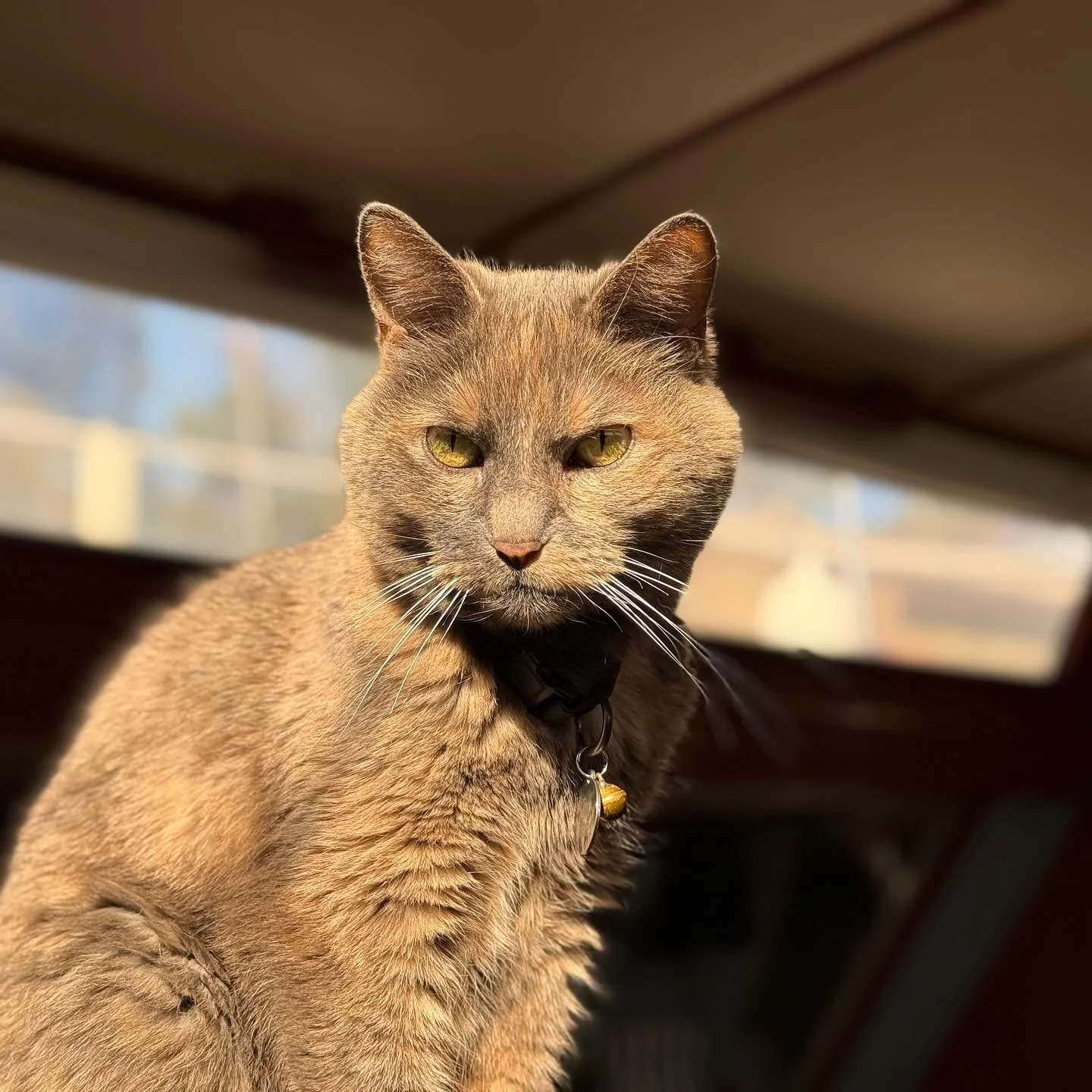 seriously sunny ☀️ #getthatglow