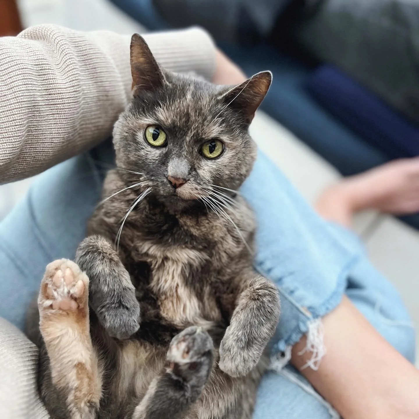 cuteness overload 🥹 #beansbeansbeans