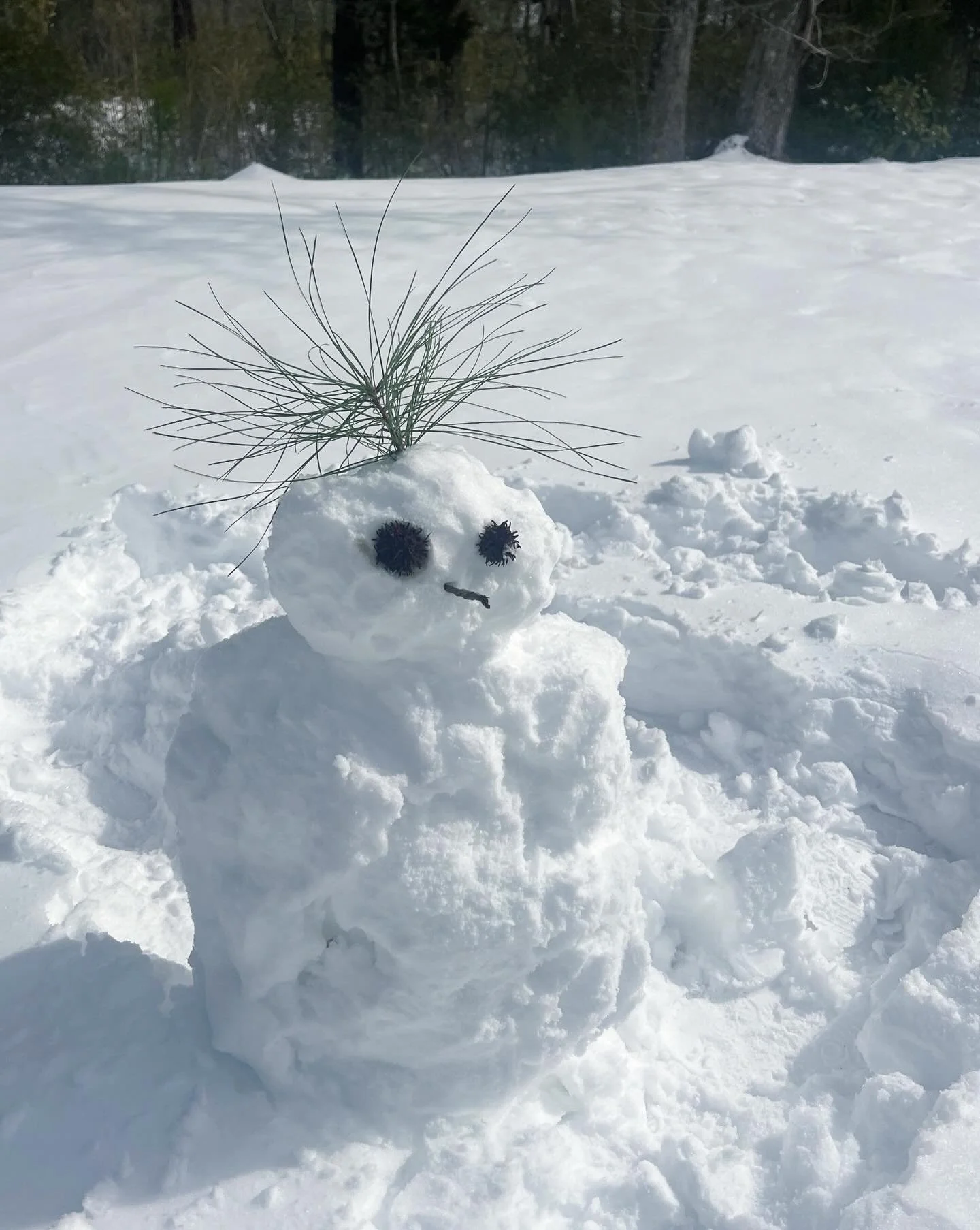 A week has passed and yet the snow still lingers. We have been kept warm by the crackling glow of the tv fireplace, a carefully supervised candle, and an atmospheric light that makes it look like we are on the water (as if we weren&rsquo;t!)

The sti