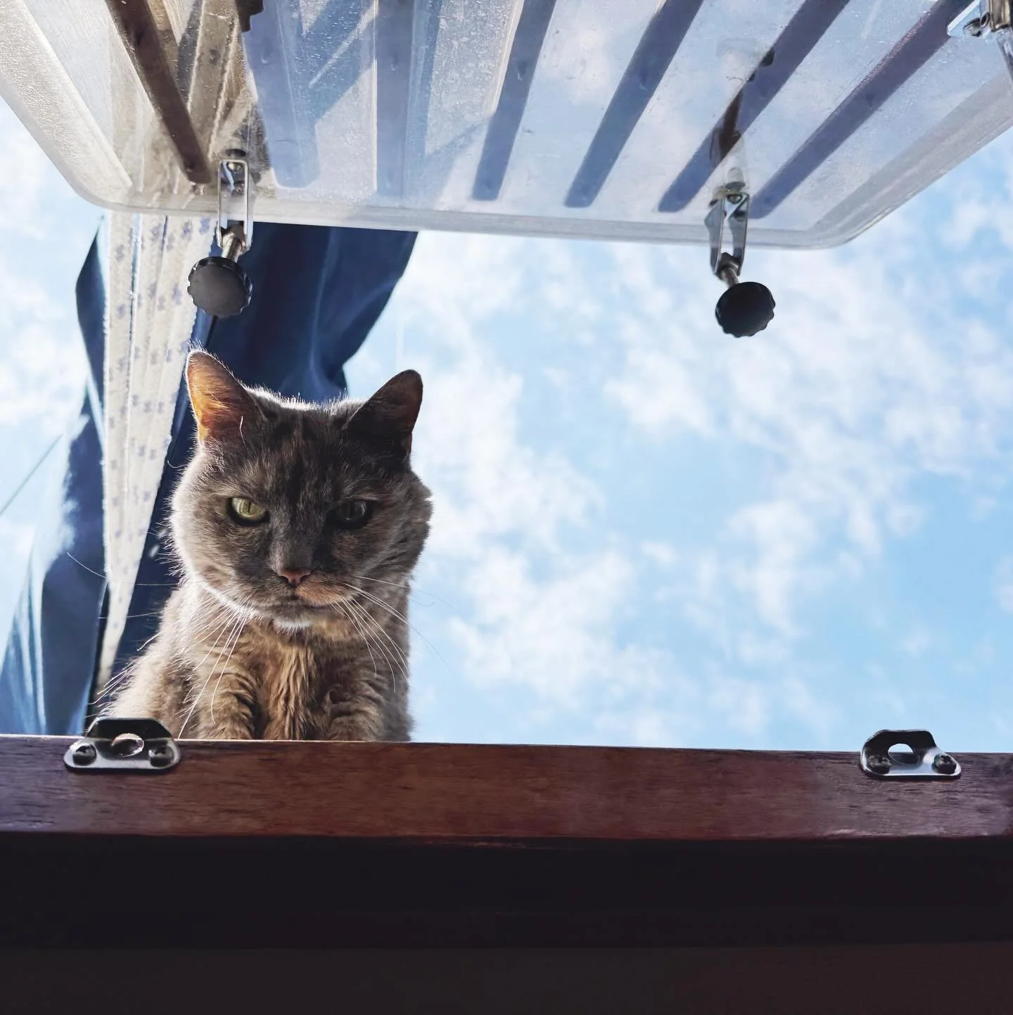 tildy on high ☁️ #upintheclouds