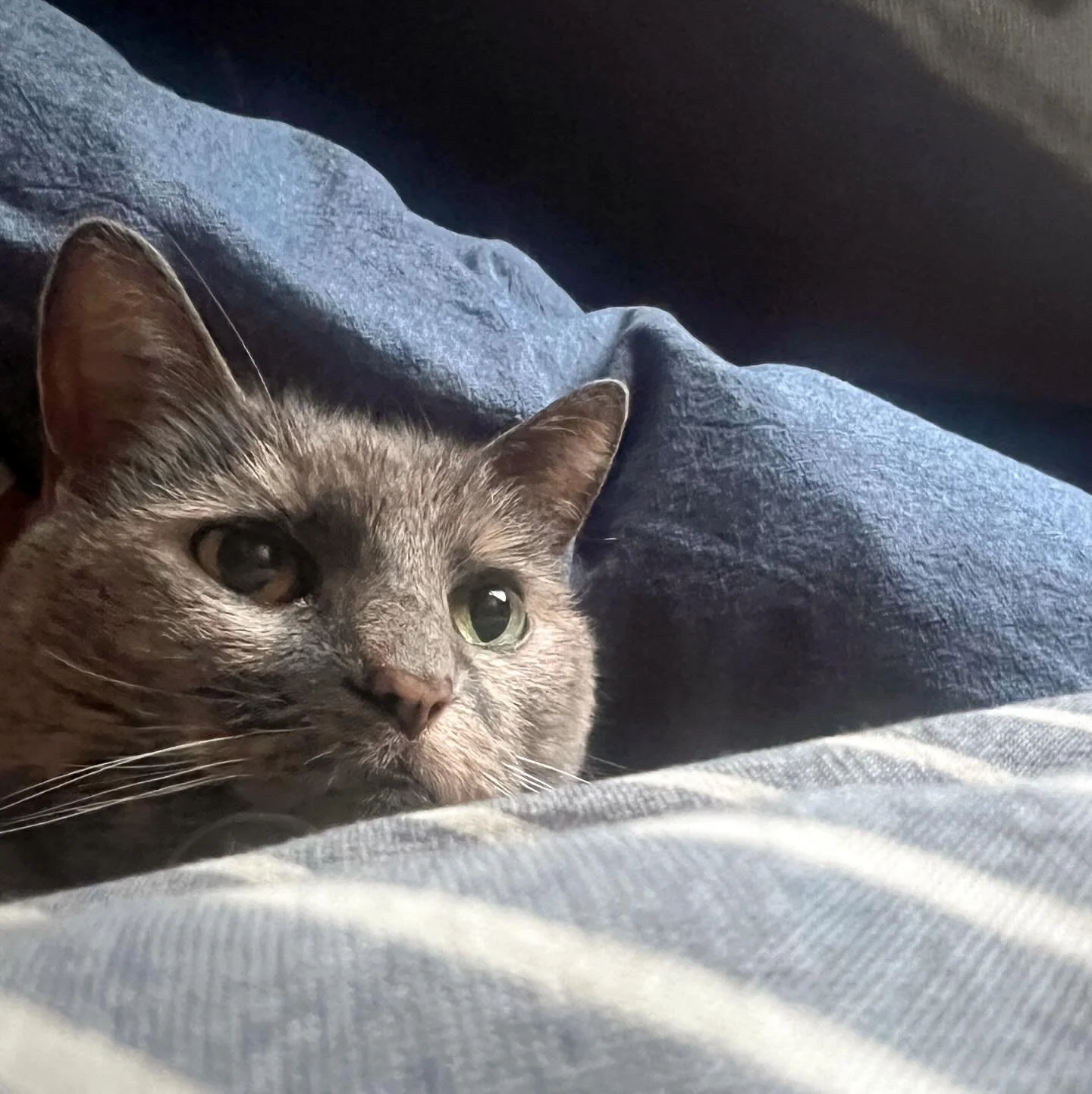 early riser ⏰ #cozyandcute