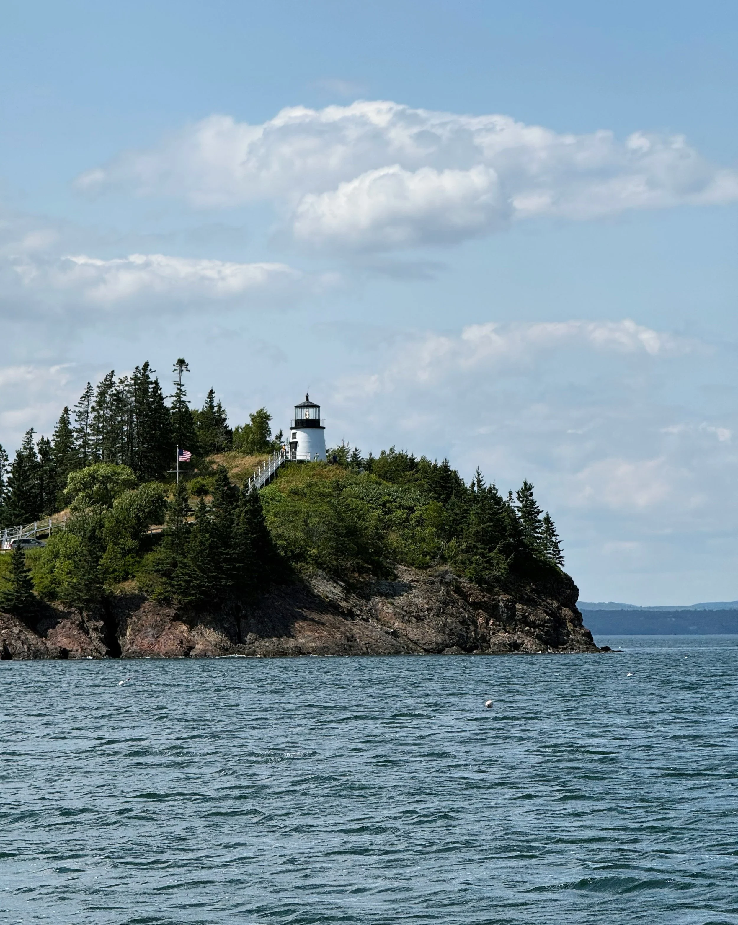 Day 58 &bull; It has taken us nearly two months to get to our first planned destination - Penobscot Bay, Maine. We have been welcomed by the ultra adorable harbor porpoise and even more of those doe-eyed harbor seals. It is very cute here! But also c