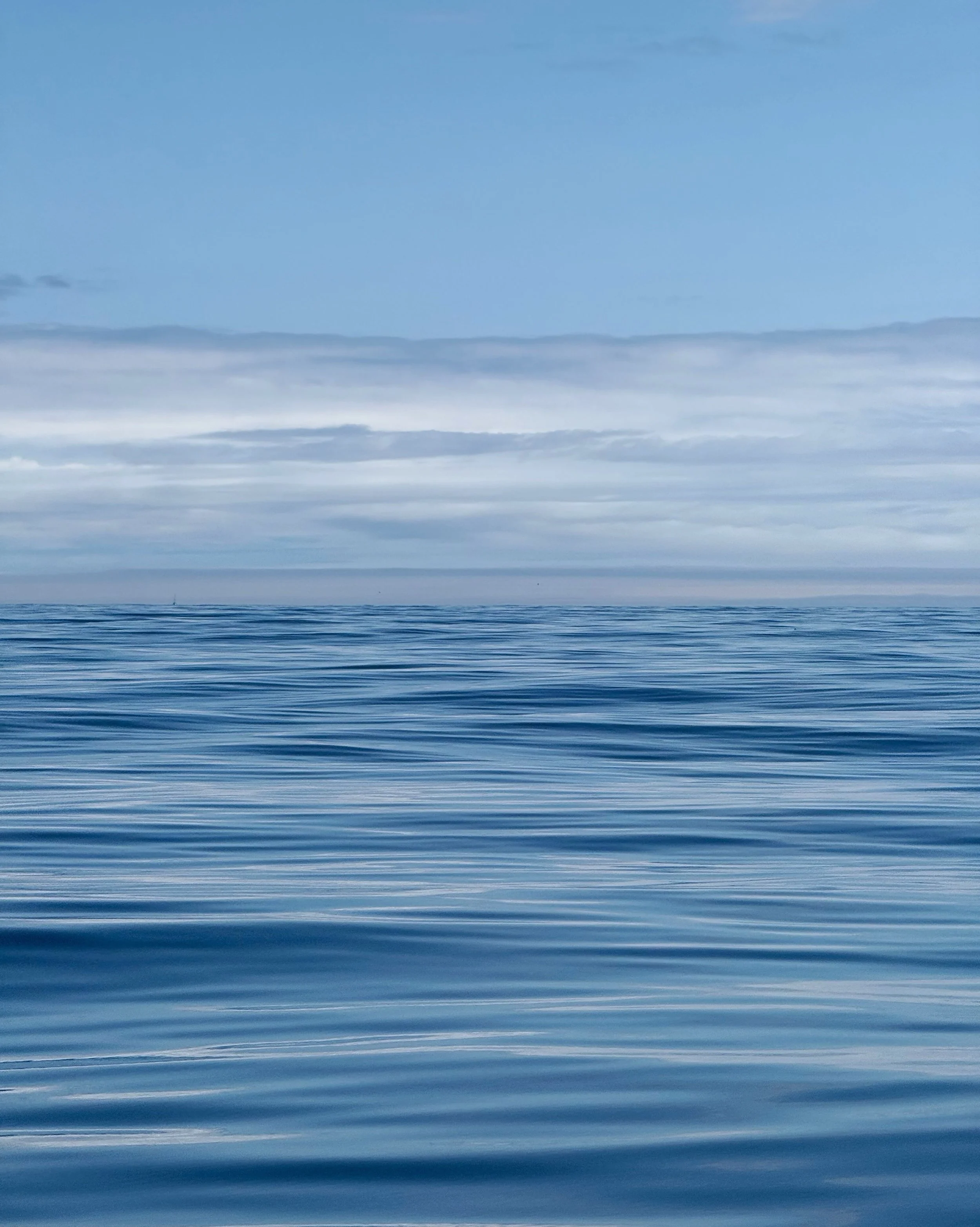 Day 66 &bull; Glassy waters turned to swell as the fog crept in, seasickness soon followed. The haze lifted and the sea settled, revealing sunlit jellies bobbing below the surface. 

Yarmouth to McNutts Island, Nova Scotia | 82.3 miles | NE&amp;CM