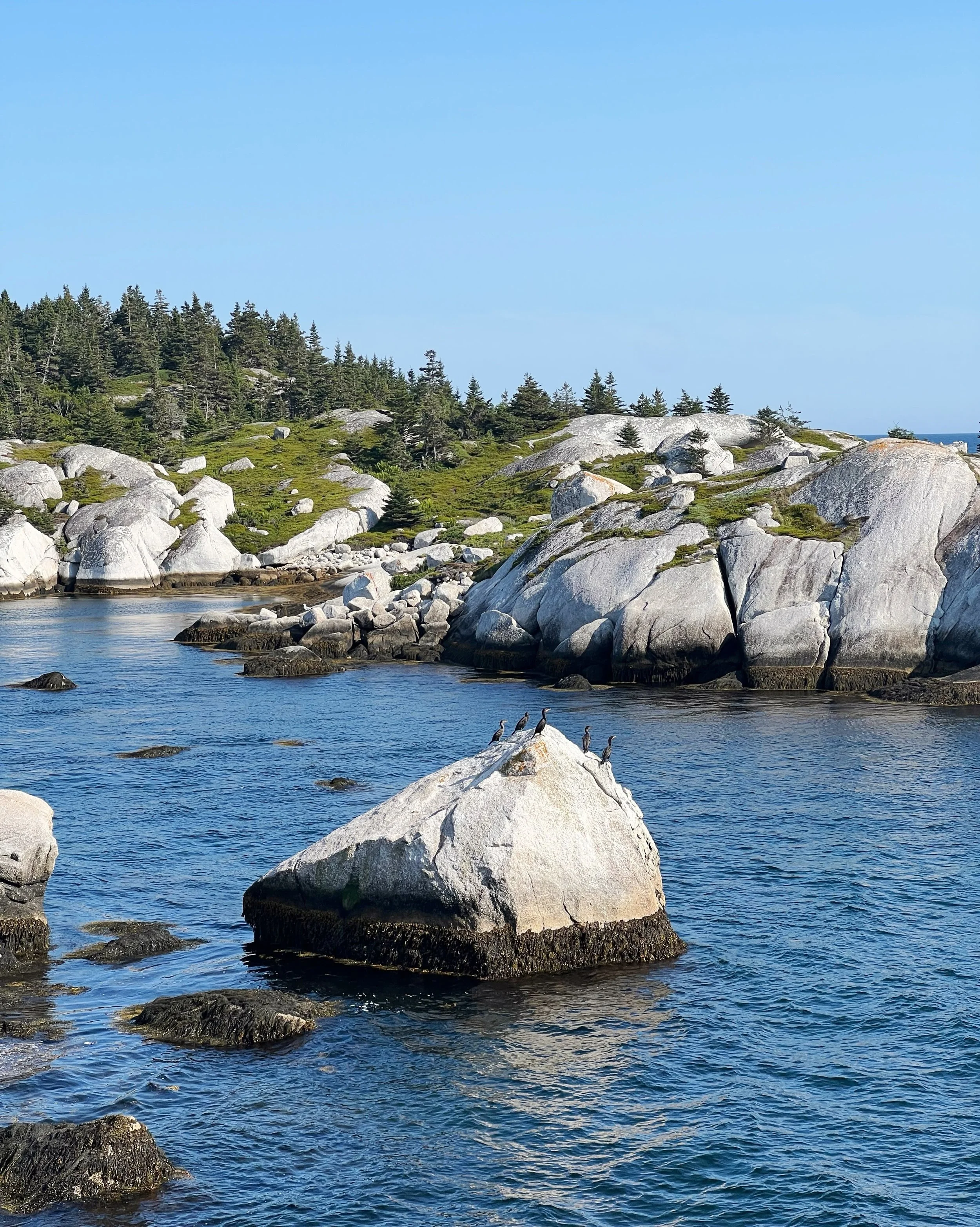 Day 81 &bull; A wonderfully Canadian day in the very best of ways - with a focus on some of our culinary goals. We started off with a little family hike to introduce our guests to Tim Hortons. Later, during our sail, we snacked on ketchup-flavored an