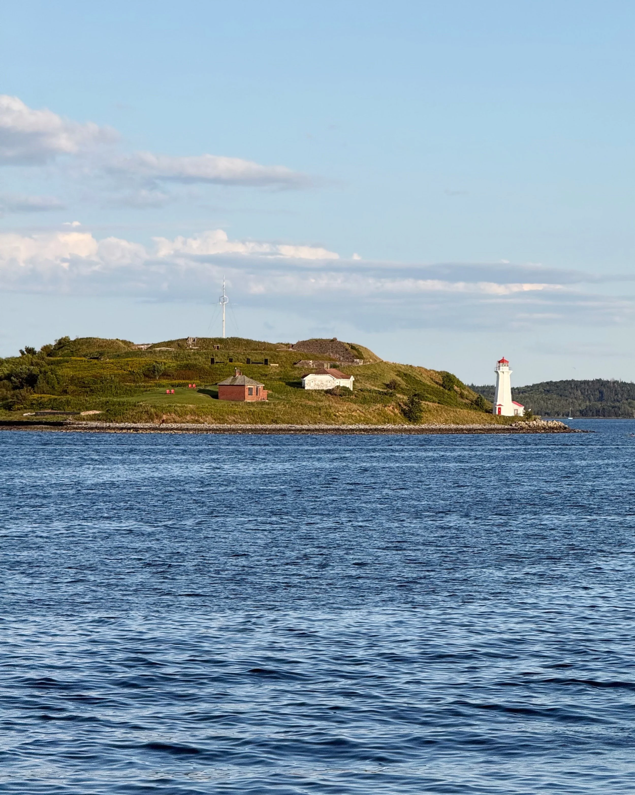 Day 84 &bull; We left the solitude of our wild anchorage for the happening city of Halifax. As we were entering the busy channel, with traffic all around and a container ship quickly approaching from behind, we noticed another vessel aimed right for 
