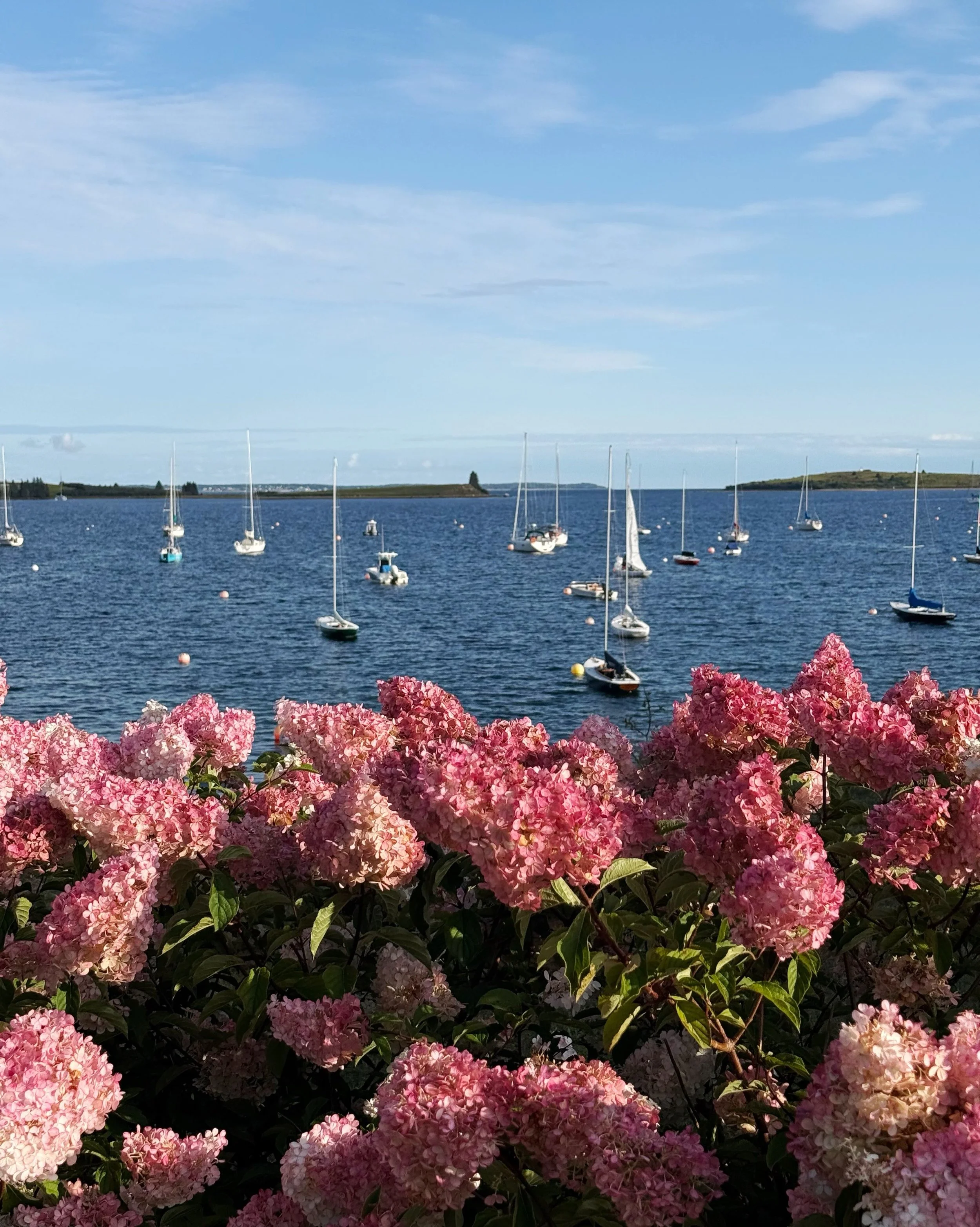 Day 102 &bull; Ah, domestic bliss. First of the month financials, a long overdue haircut for the captain, plus an uphill walk to the grocery store for paper towels and a stockpile of Sour Soothers. Dinner followed by hot teas in bed before nine o&rsq