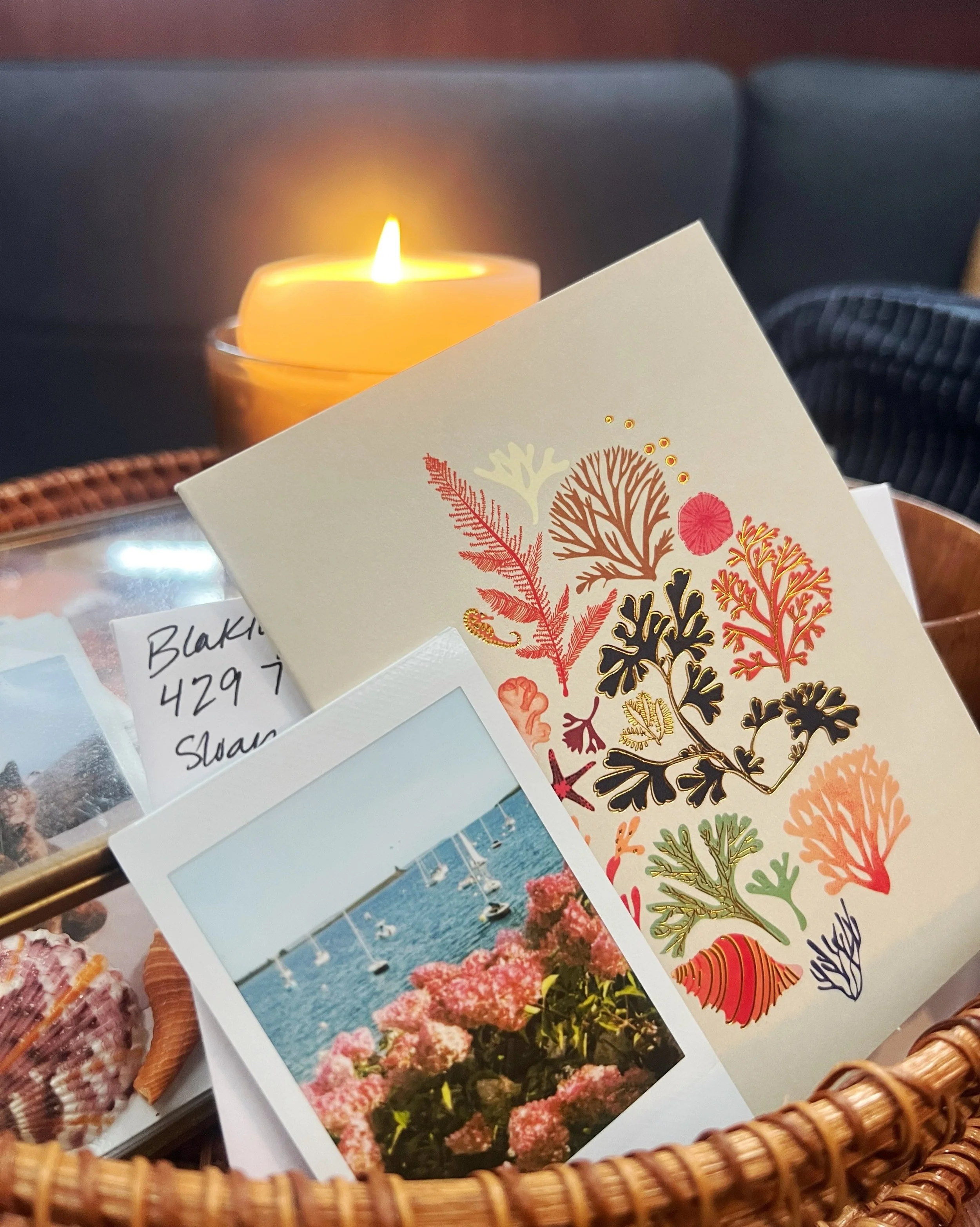 Day 103 &bull; A rainy day. Perfect for lighting a candle, letting the fairy lights twinkle, writing books or your penpal, and watching some Chester inspired television. 

Chester, Nova Scotia | NE&amp;CM