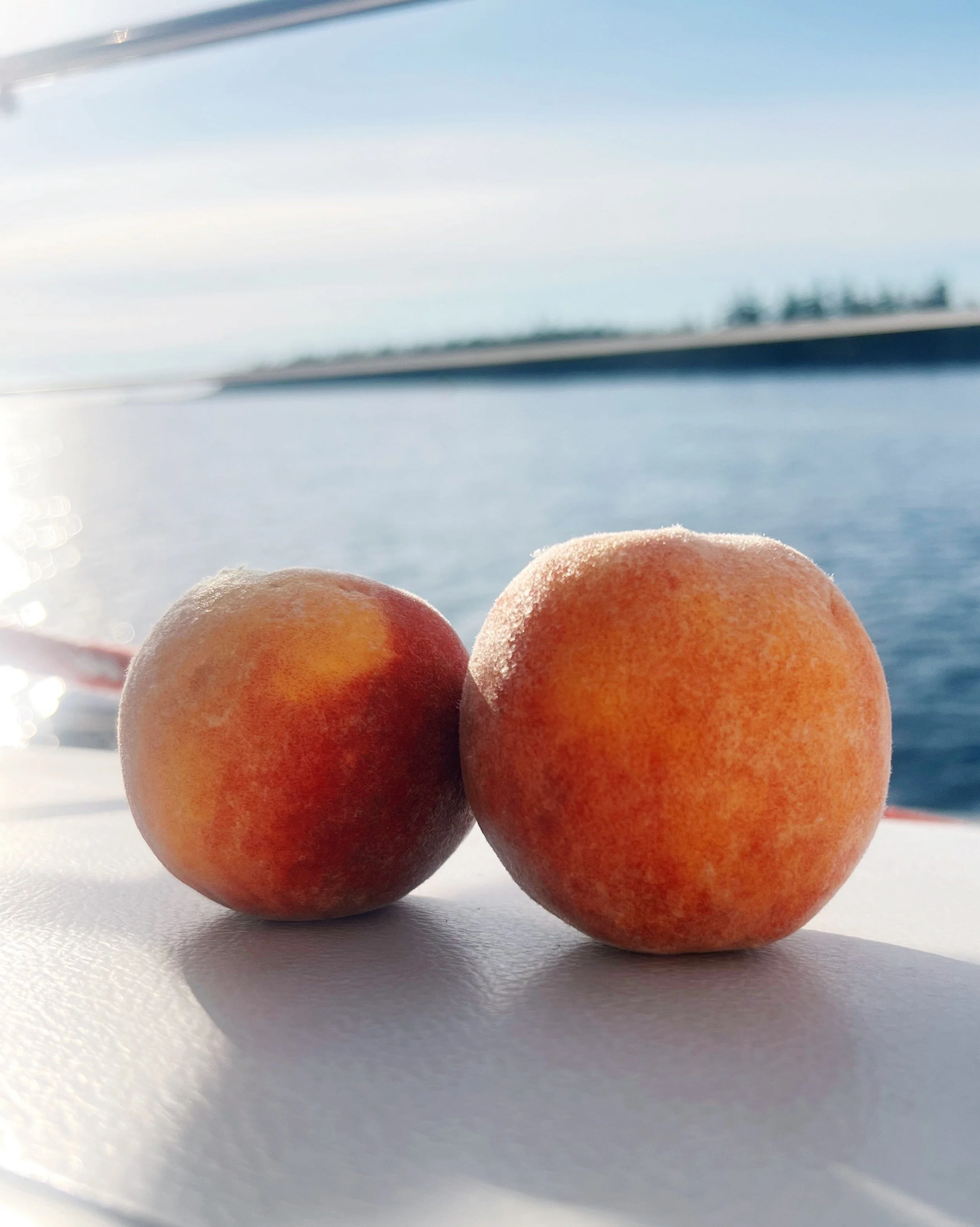 Day 108 &bull; Sunshine and sea sparkles! We made some miles today! To help prep for our future departure we stopped at the store and stocked up on some of our favorite Canadian foods. We grabbed several varieties of Bass&eacute; trail mixes and bulk