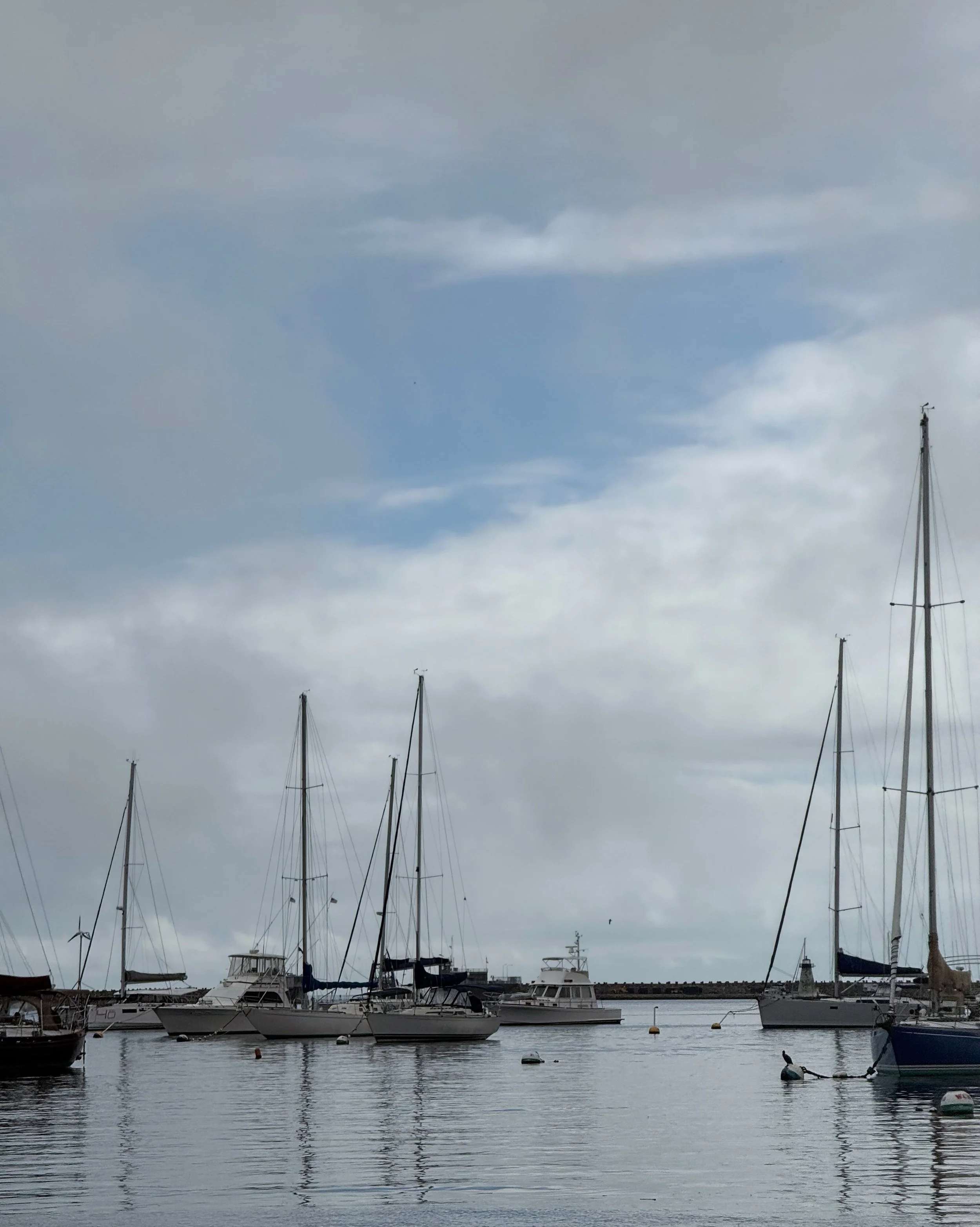 Day 128 &bull; We need to go. We are so over the wet and the gloom and the chill. Every single tank (on deck and inside) has been filled (fuel and water) and, even better, our very first gray seal (horsehead) stopped over to say goodbye (no pic).

Ne