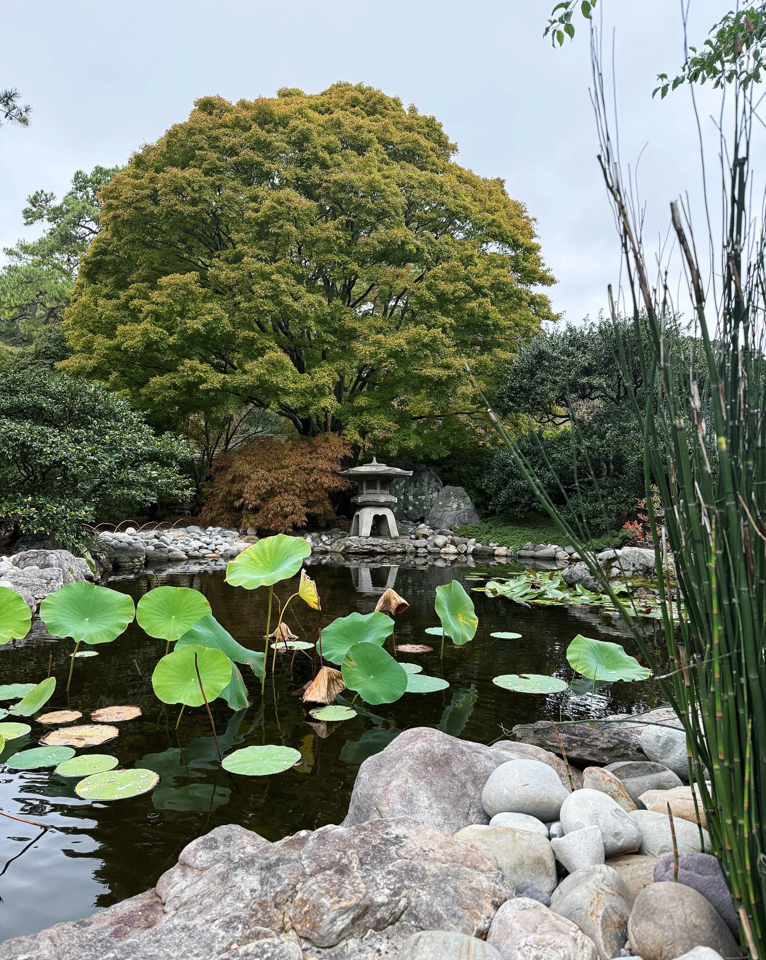 Day 141 &bull; Botanical gardens are one of our most favorite attractions and we love to visit as many as we can while traveling. The Norfolk Botanical Garden is quite large and varied. We enjoyed looking at all the beautiful plants while getting our